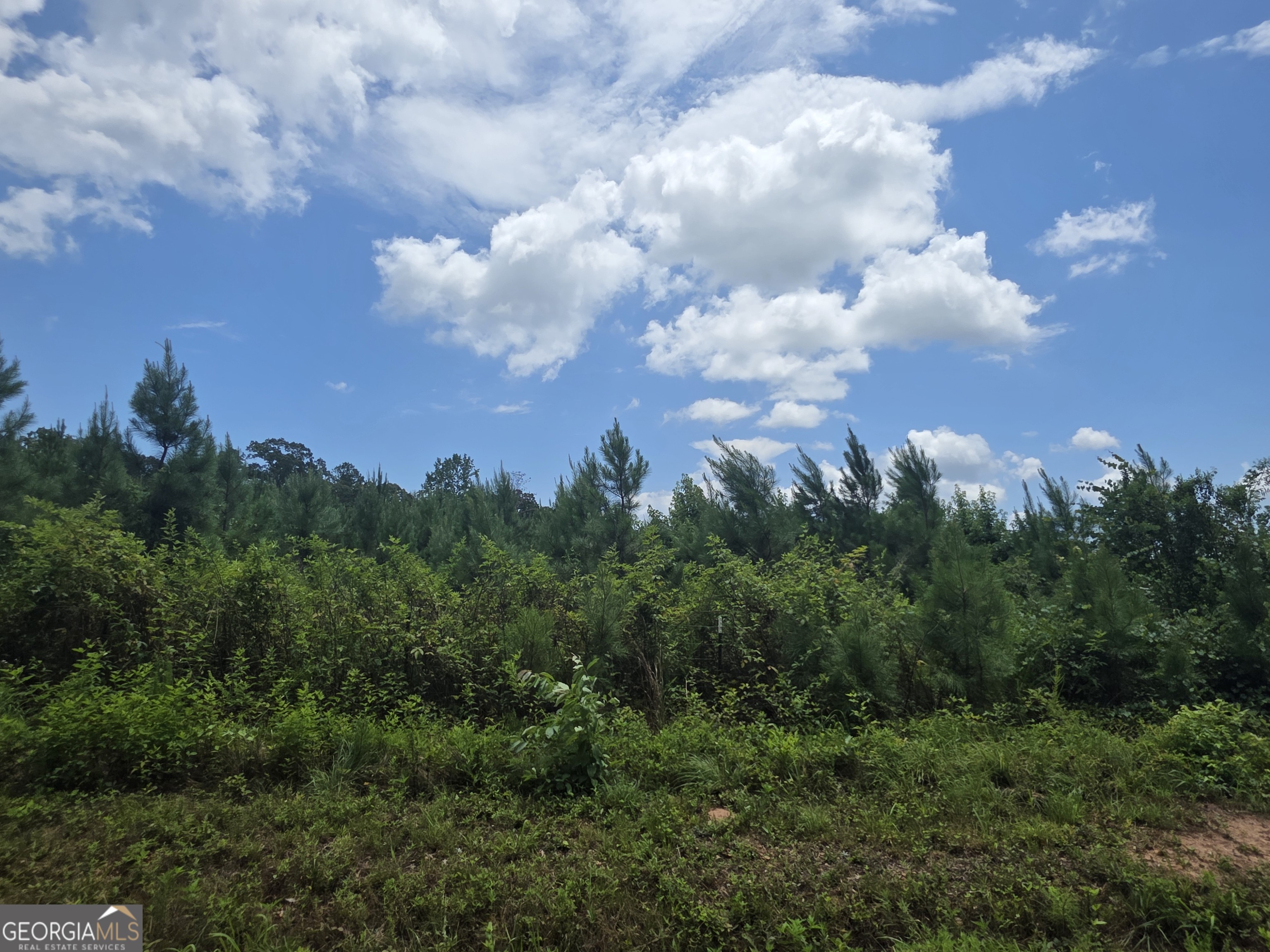 0 Wehunt Road Covington GA 30016