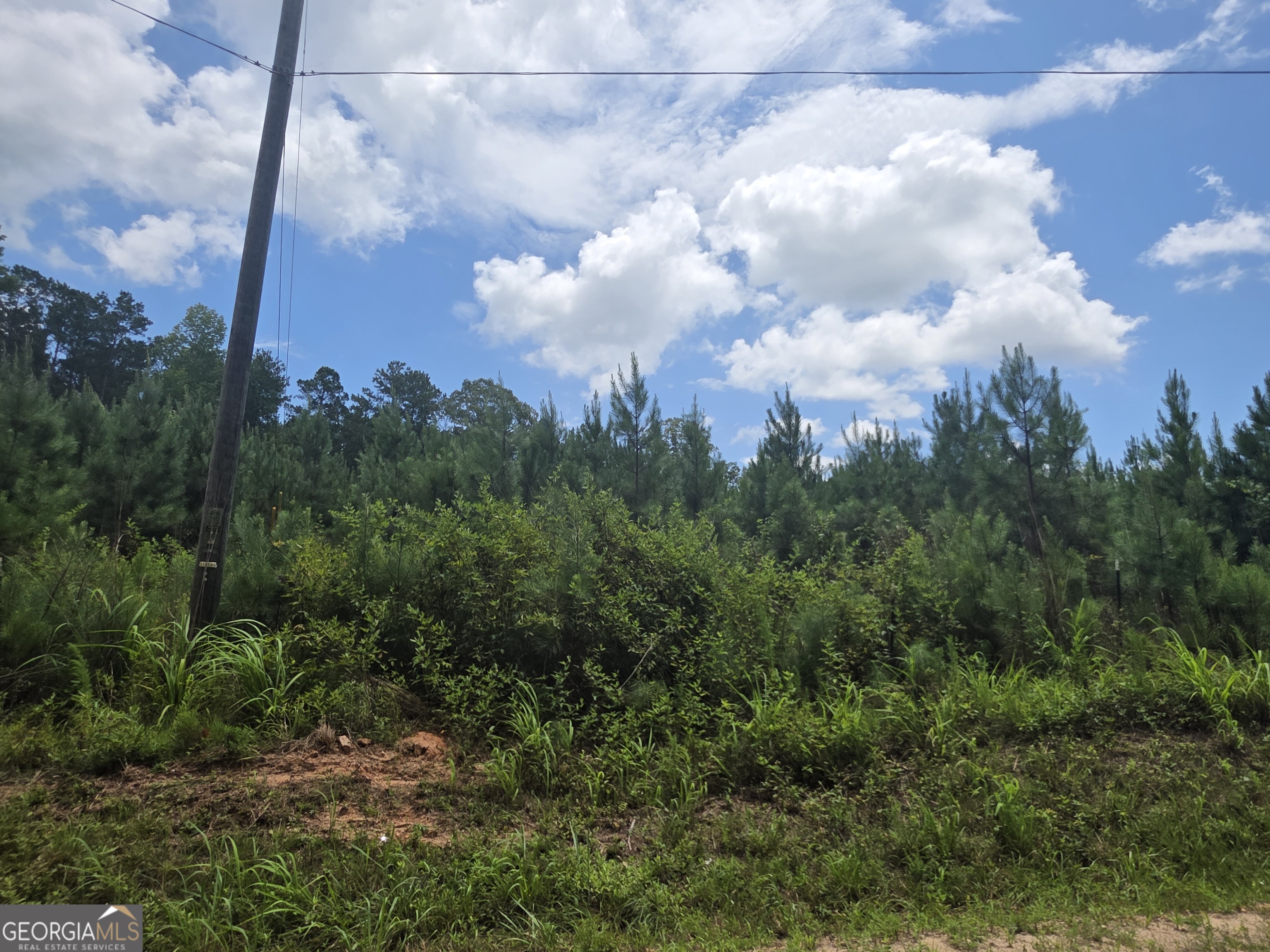 0 Wehunt Road Covington GA 30016