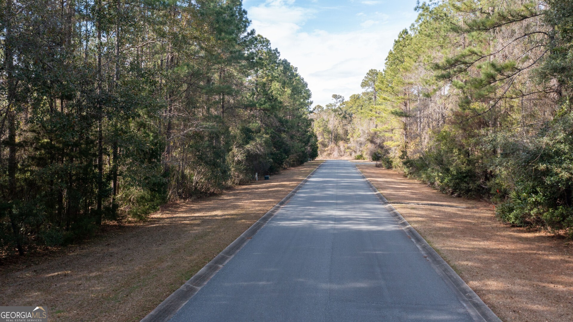 V/l 191 Sunrise Drive Woodbine GA 31569