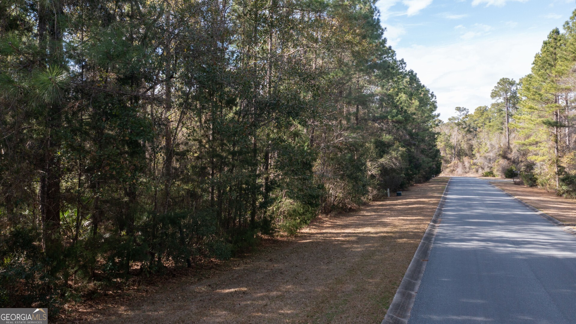 V/l 191 Sunrise Drive Woodbine GA 31569