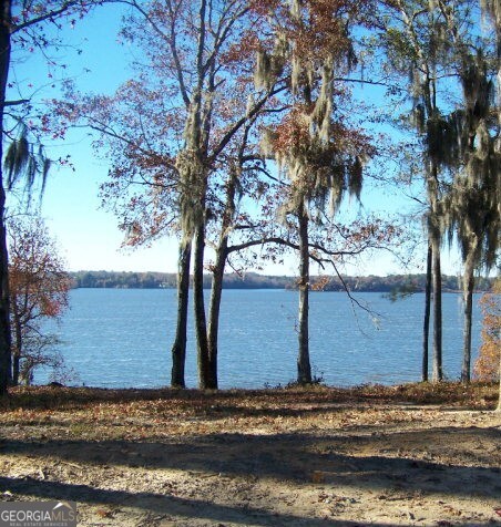 0 Point Drive Georgetown GA 39854