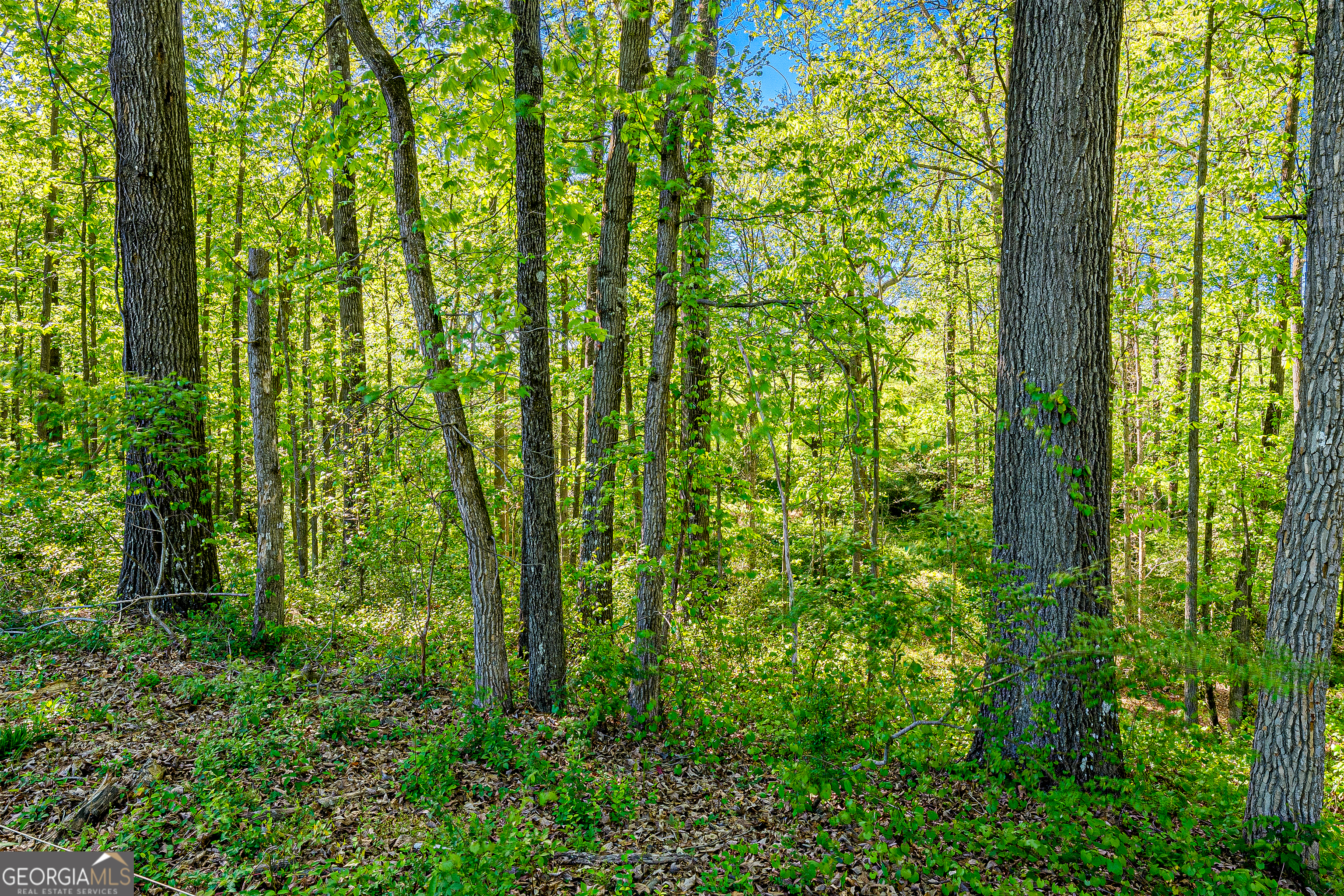 649 Adamstown Road Bowersville GA 30516