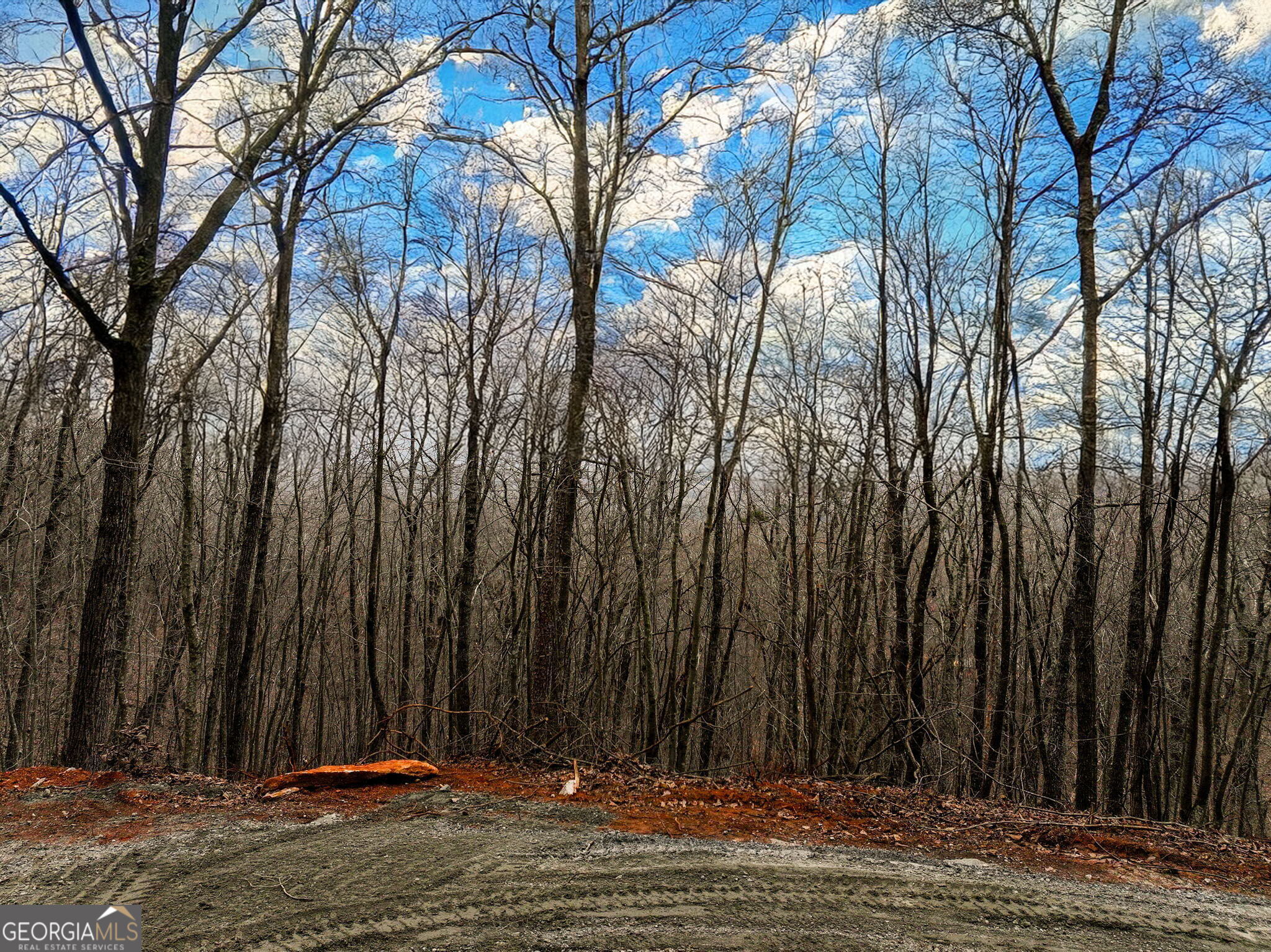 Lot 7 Mount Mincie Road Murrayville GA 30564