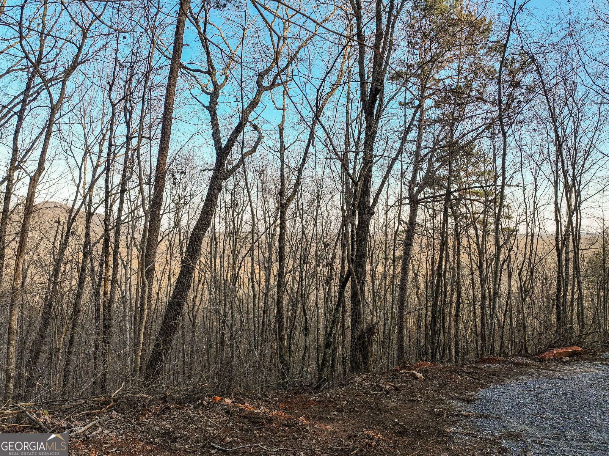 Lot 7 Mount Mincie Road Murrayville GA 30564