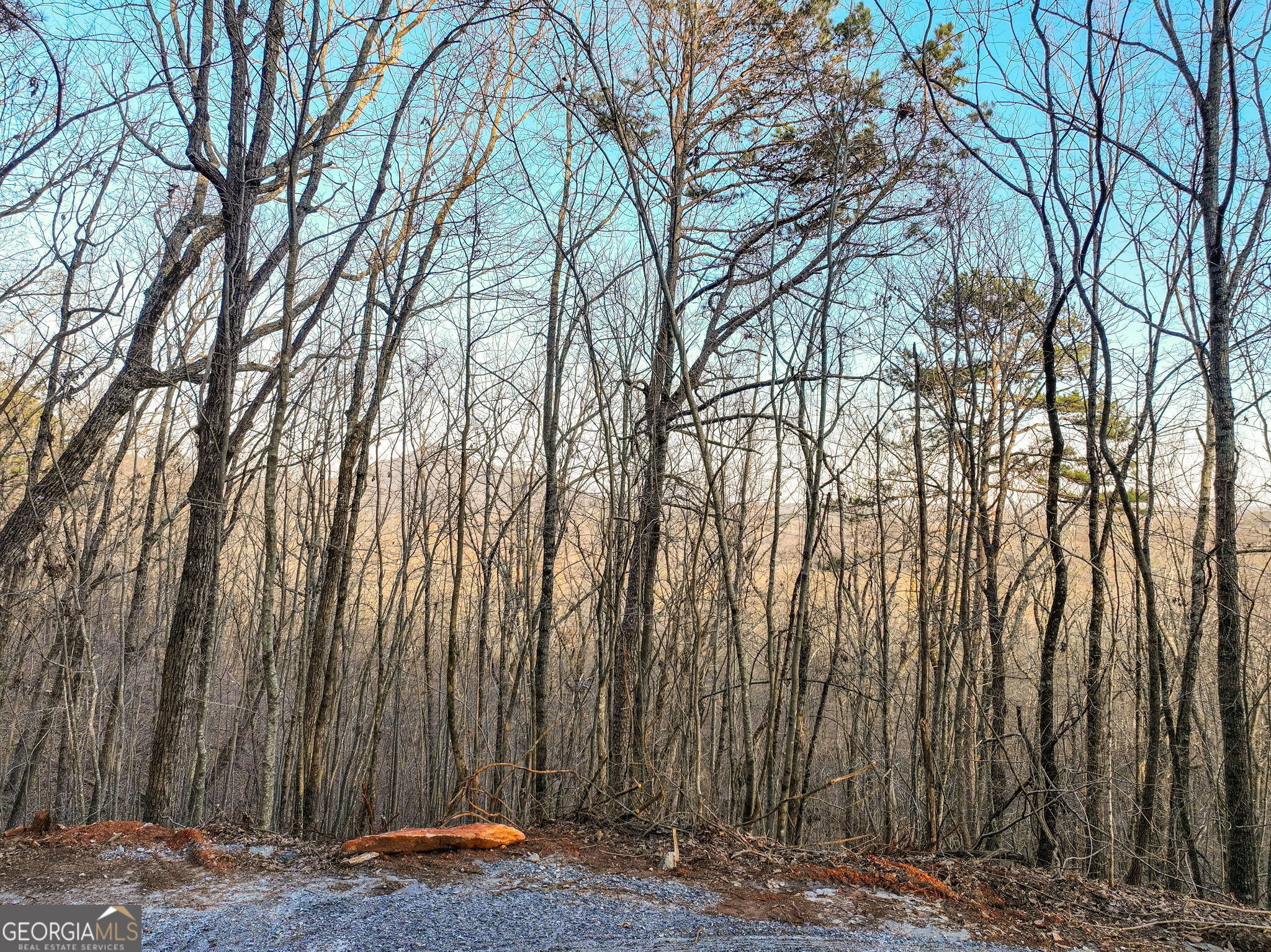 Lot 7 Mount Mincie Road Murrayville GA 30564