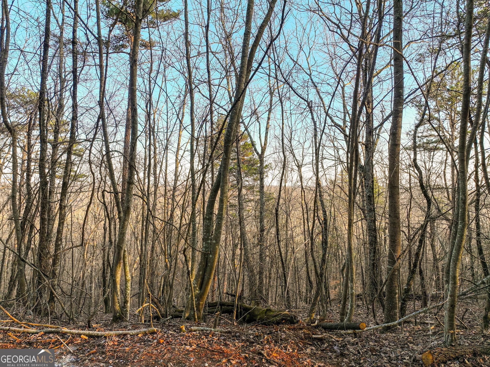 Lot 7 Mount Mincie Road Murrayville GA 30564