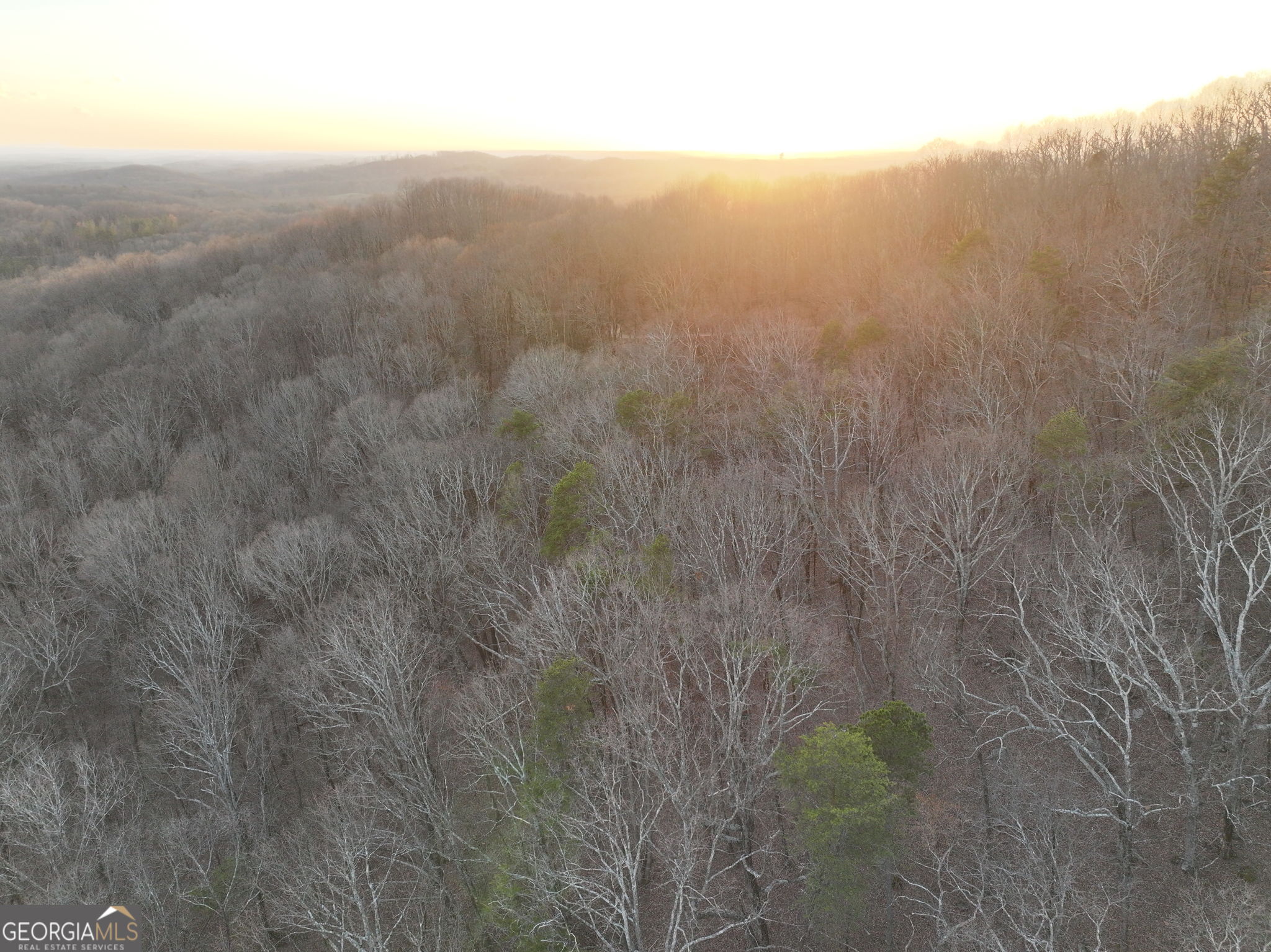 Lot 7 Mount Mincie Road Murrayville GA 30564