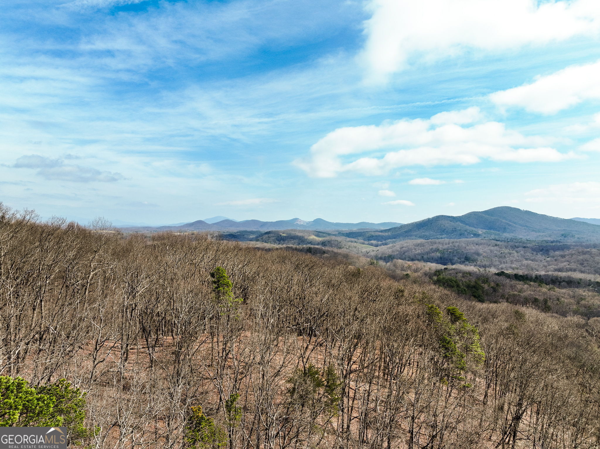 Lot 7 Mount Mincie Road Murrayville GA 30564