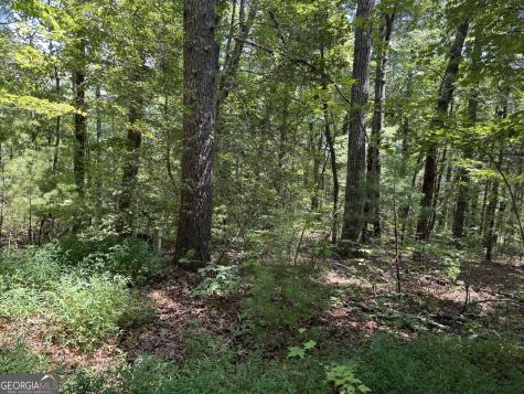 0 Baylaurel Drive Helen GA 30545