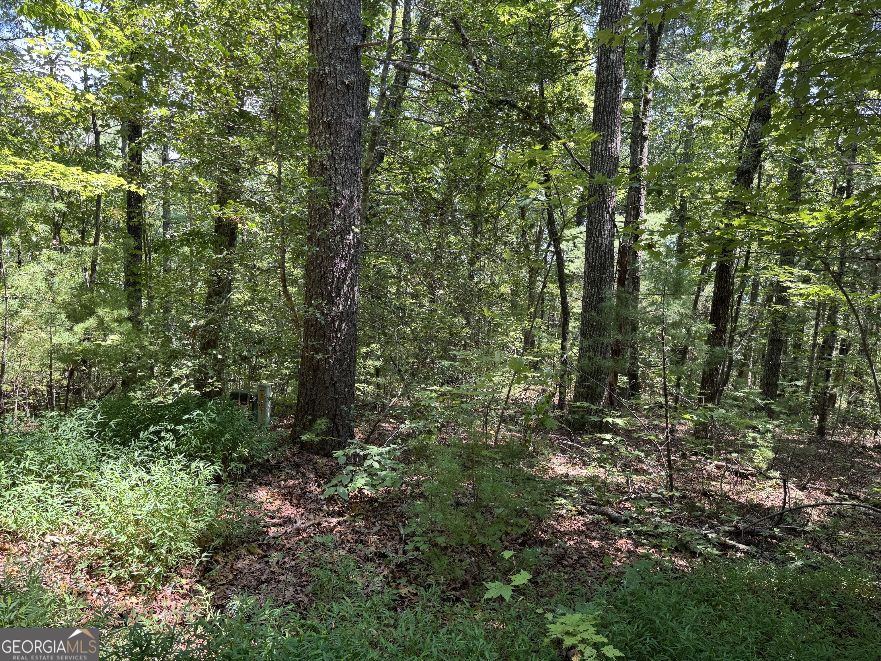 0 Baylaurel Drive Helen GA 30545