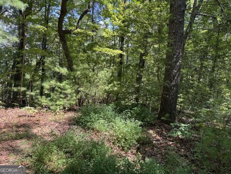 0 Baylaurel Drive Helen GA 30545