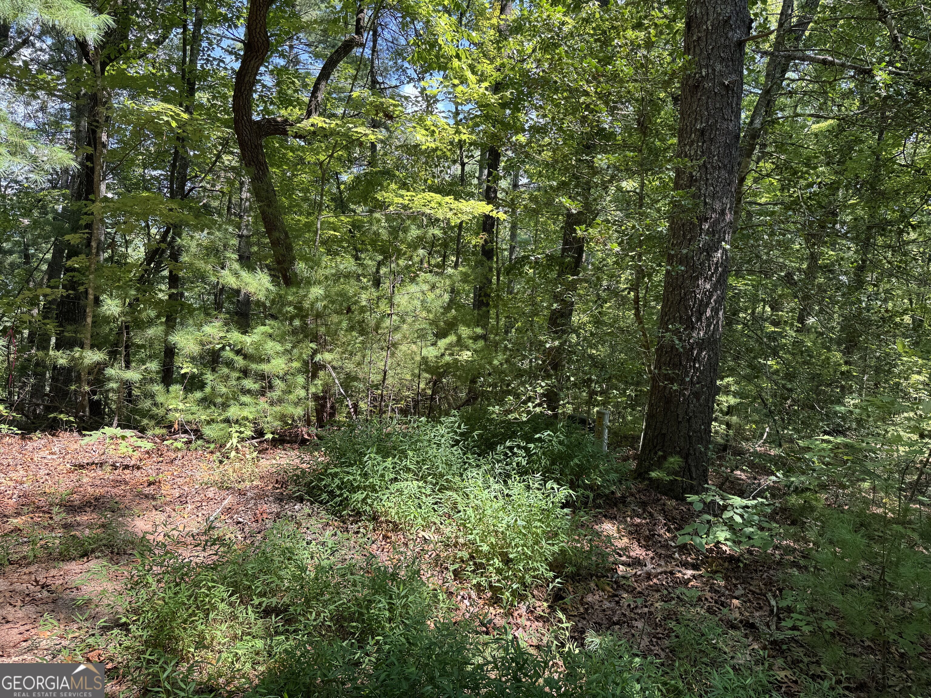 0 Baylaurel Drive Helen GA 30545