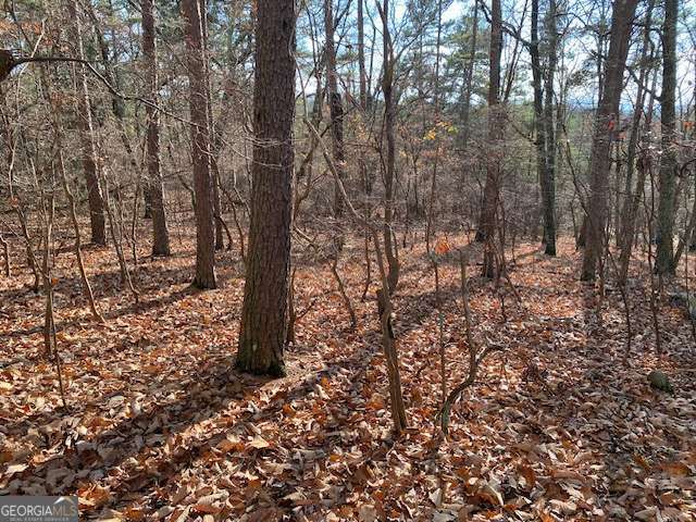 0 Quail Way Jasper GA 30143