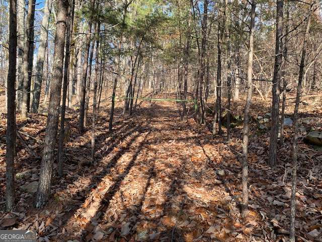 0 Quail Way Jasper GA 30143