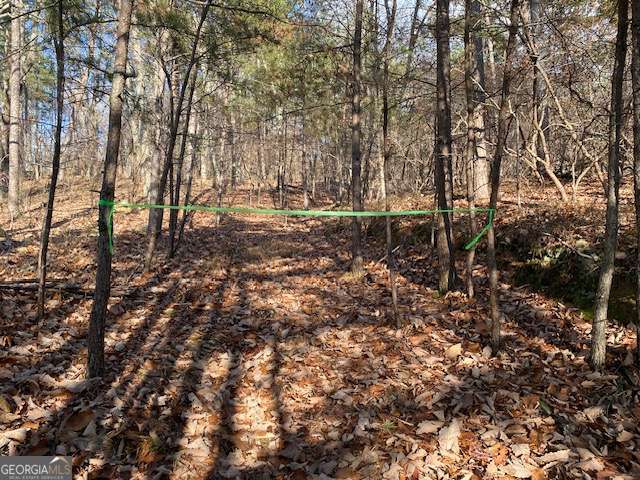 0 Quail Way Jasper GA 30143