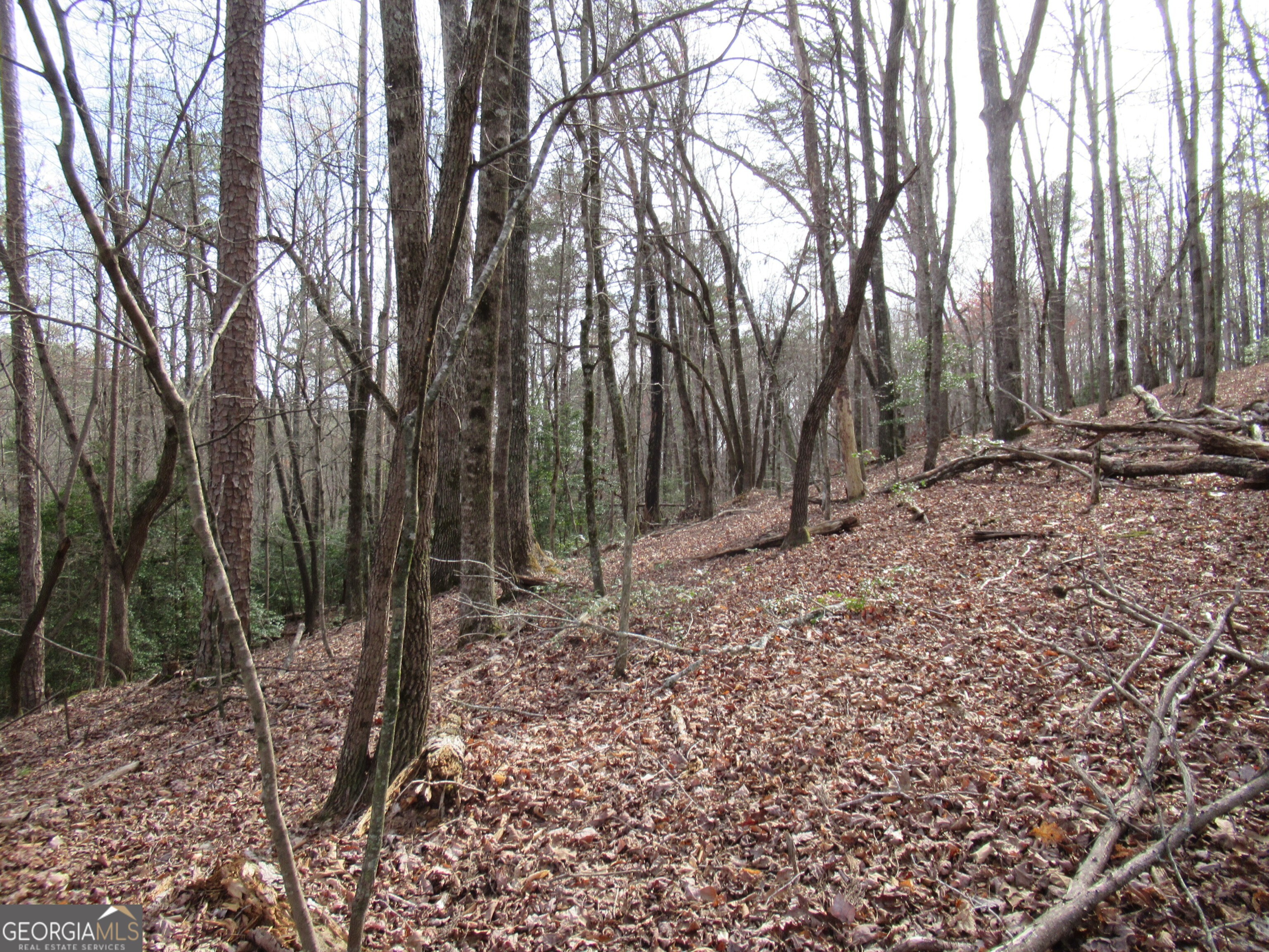 0 Long Branch Road Dahlonega GA 30533