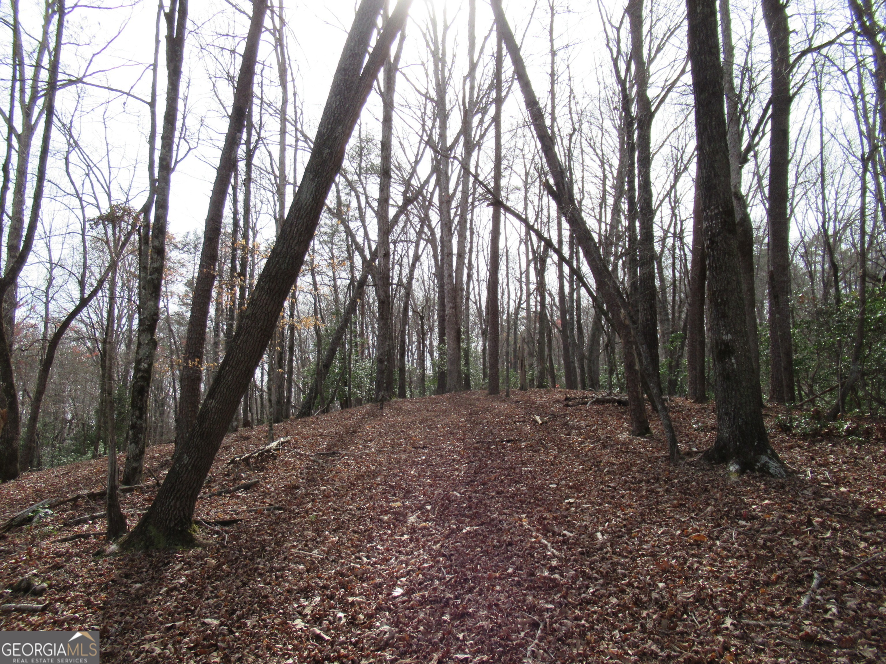 0 Long Branch Road Dahlonega GA 30533