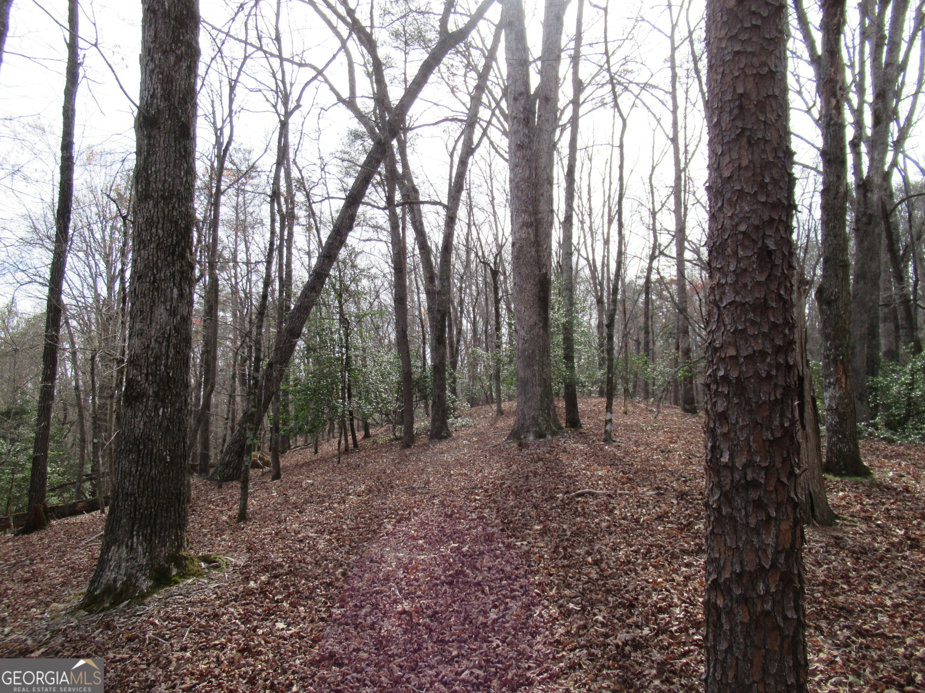 0 Long Branch Road Dahlonega GA 30533