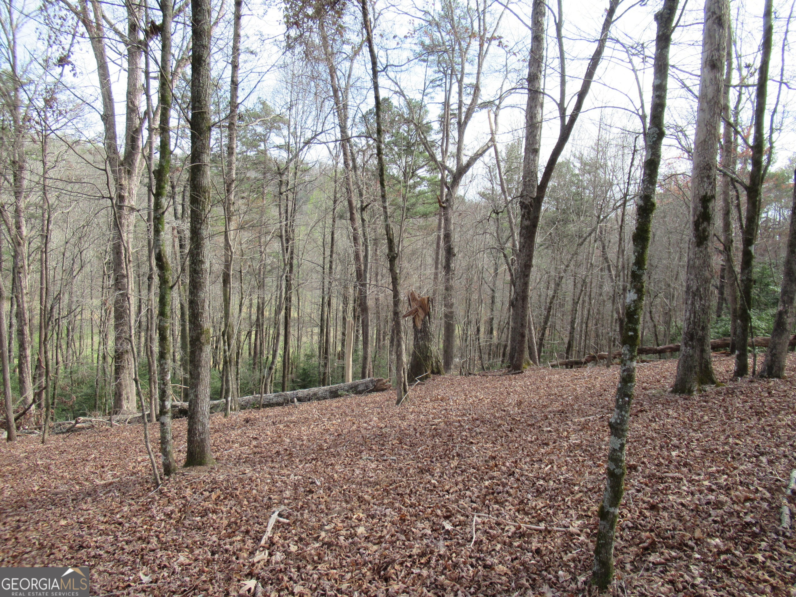 0 Long Branch Road Dahlonega GA 30533