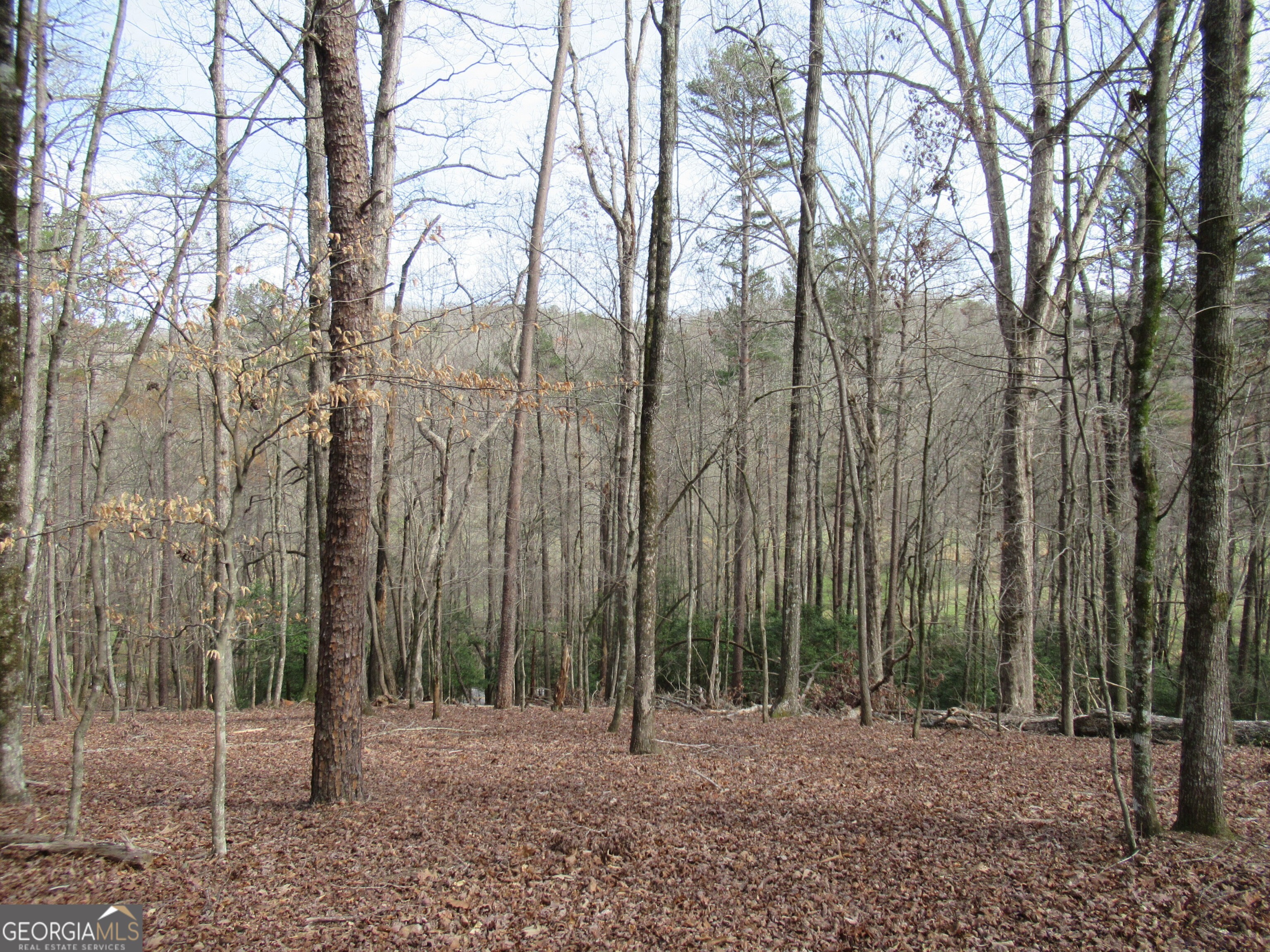 0 Long Branch Road Dahlonega GA 30533