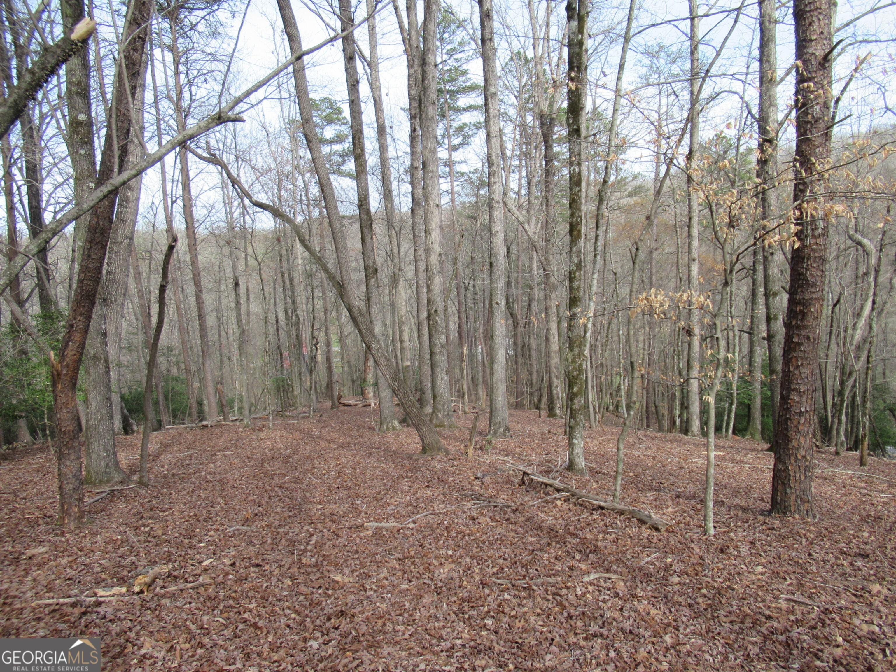 0 Long Branch Road Dahlonega GA 30533