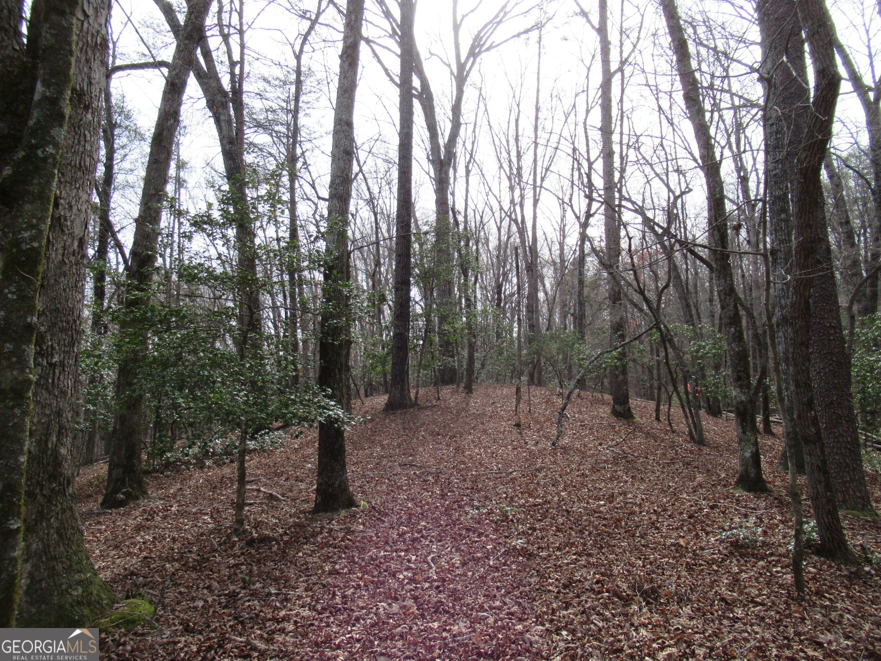 0 Long Branch Road Dahlonega GA 30533
