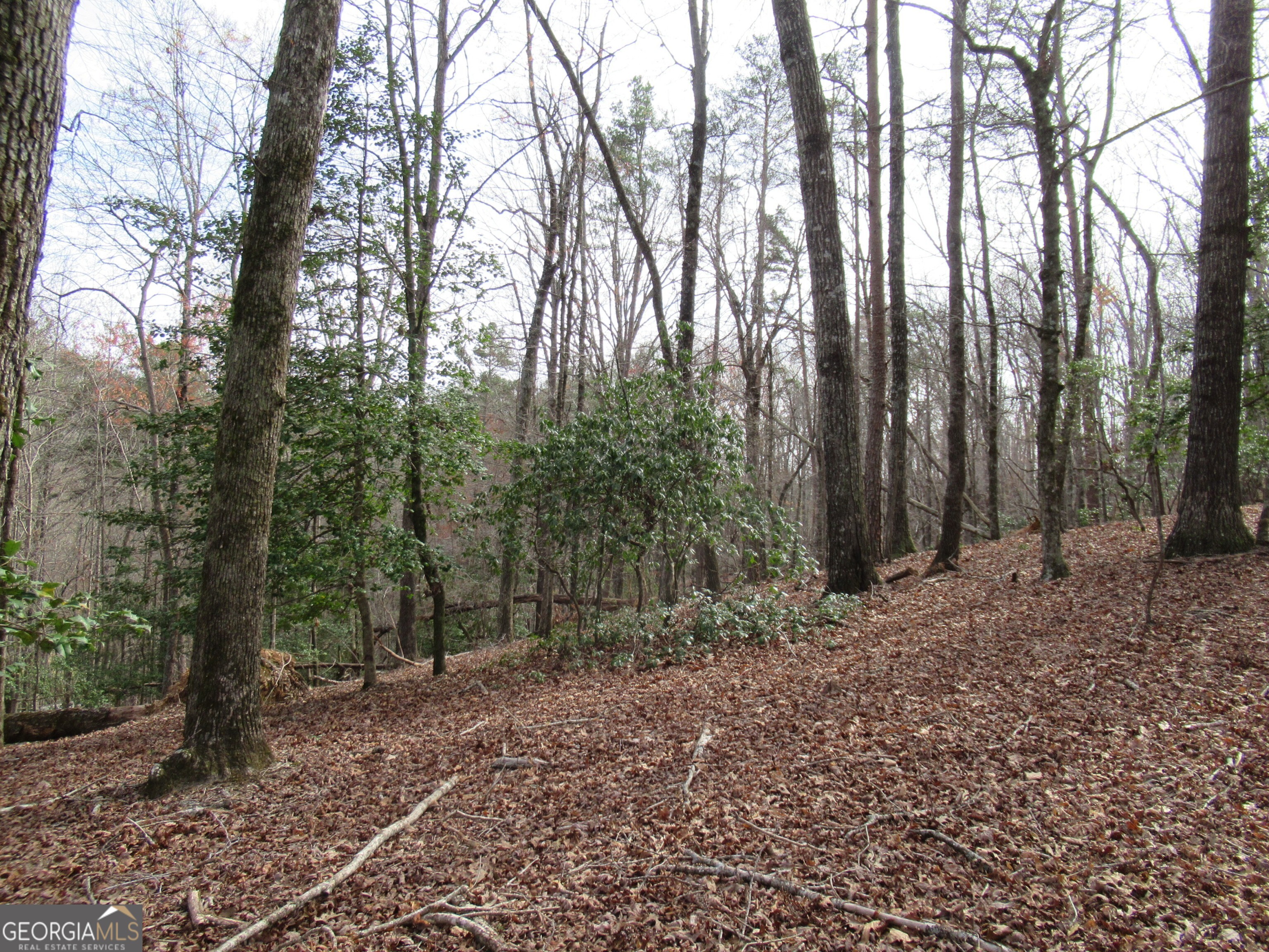 0 Long Branch Road Dahlonega GA 30533