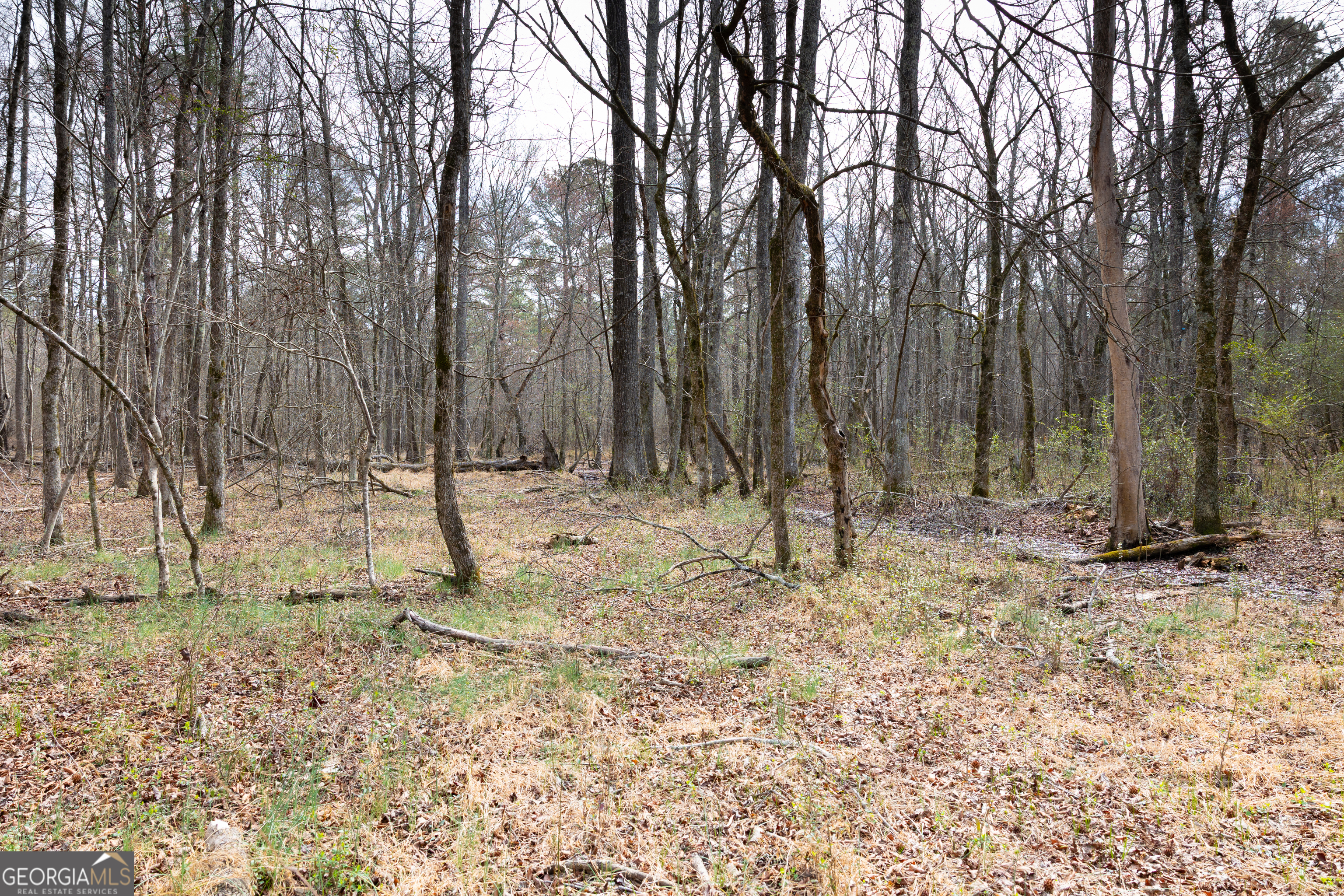 0 Highway 411 Rome GA 30161