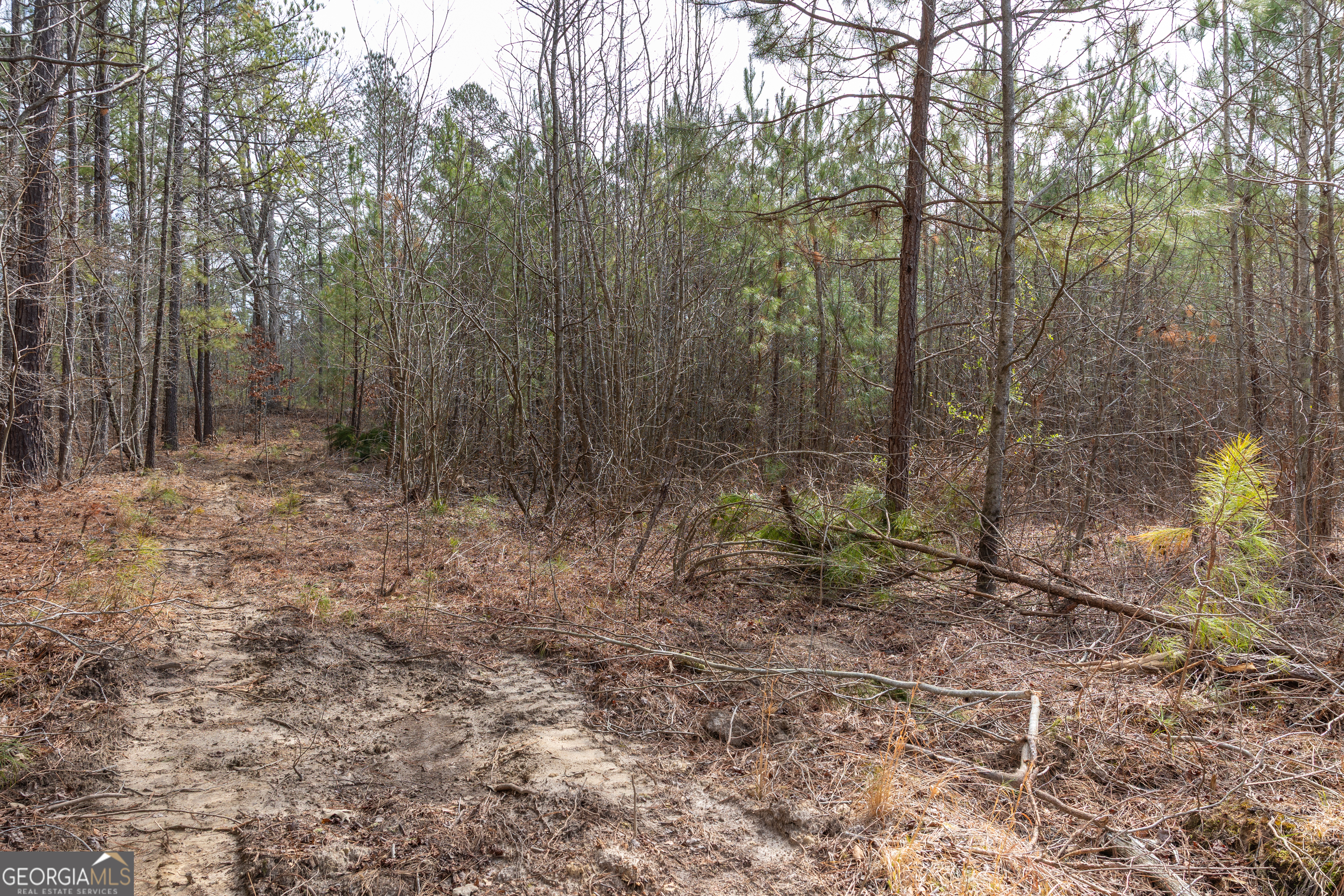 0 Highway 411 Rome GA 30161