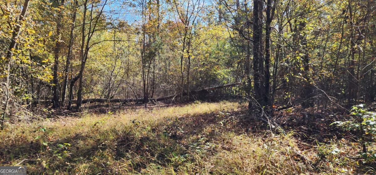0 Highway 411 Rome GA 30161