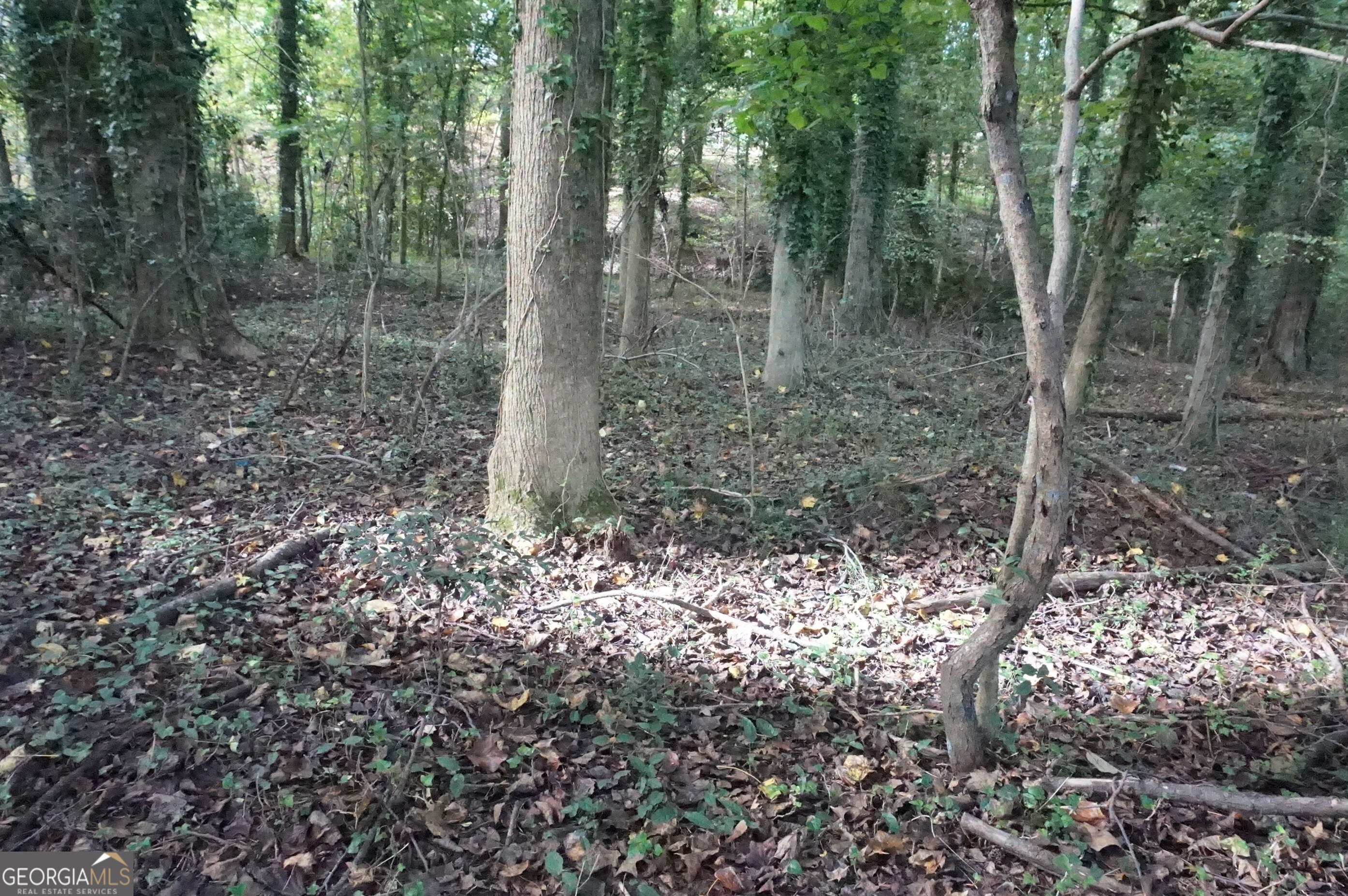 Lot 6 Pine Valley Drive Royston GA 30662
