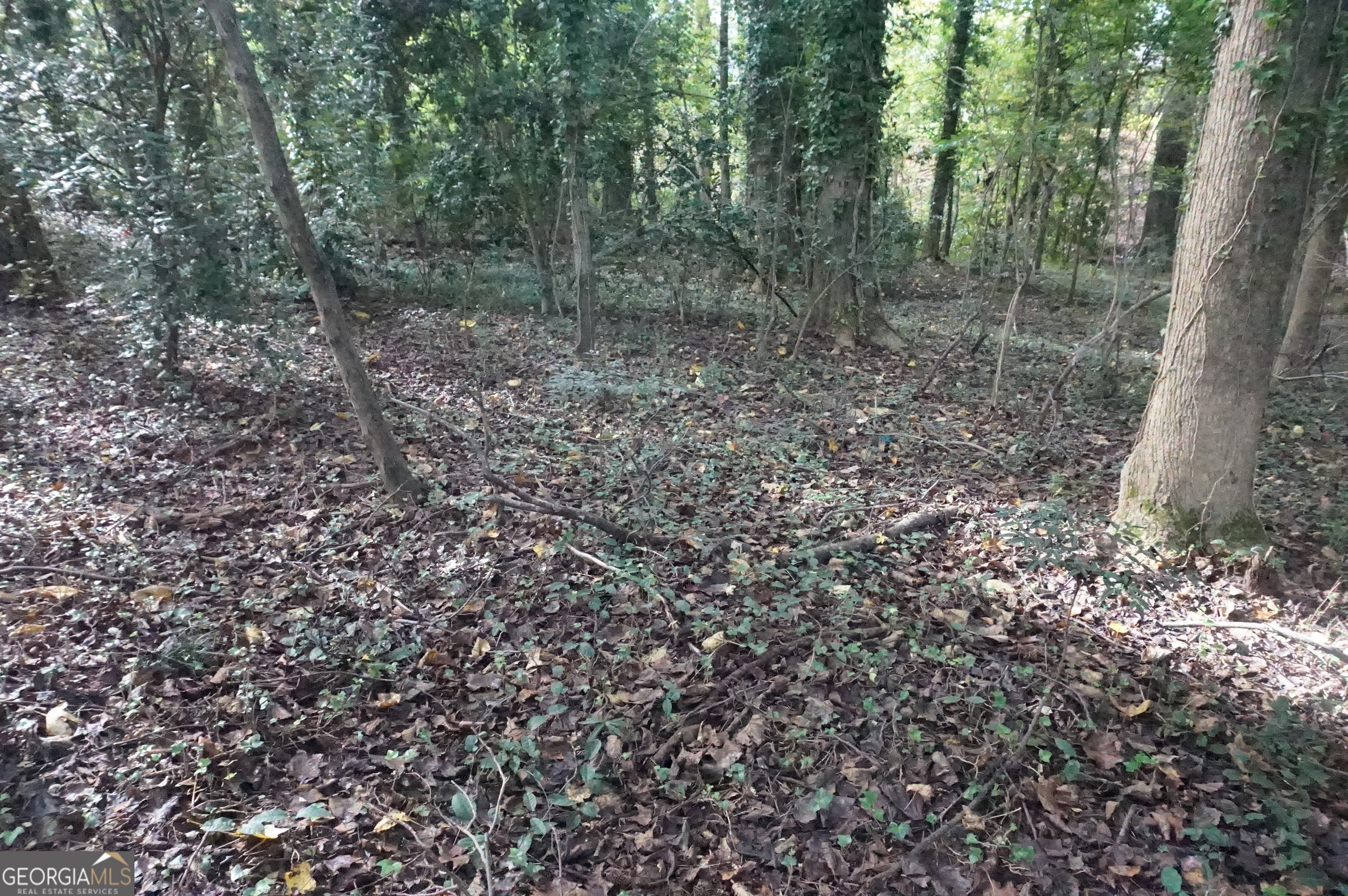 Lot 6 Pine Valley Drive Royston GA 30662