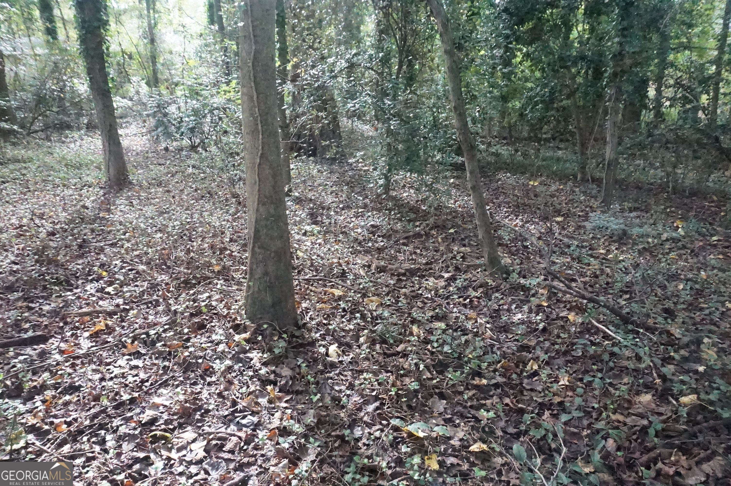 Lot 6 Pine Valley Drive Royston GA 30662