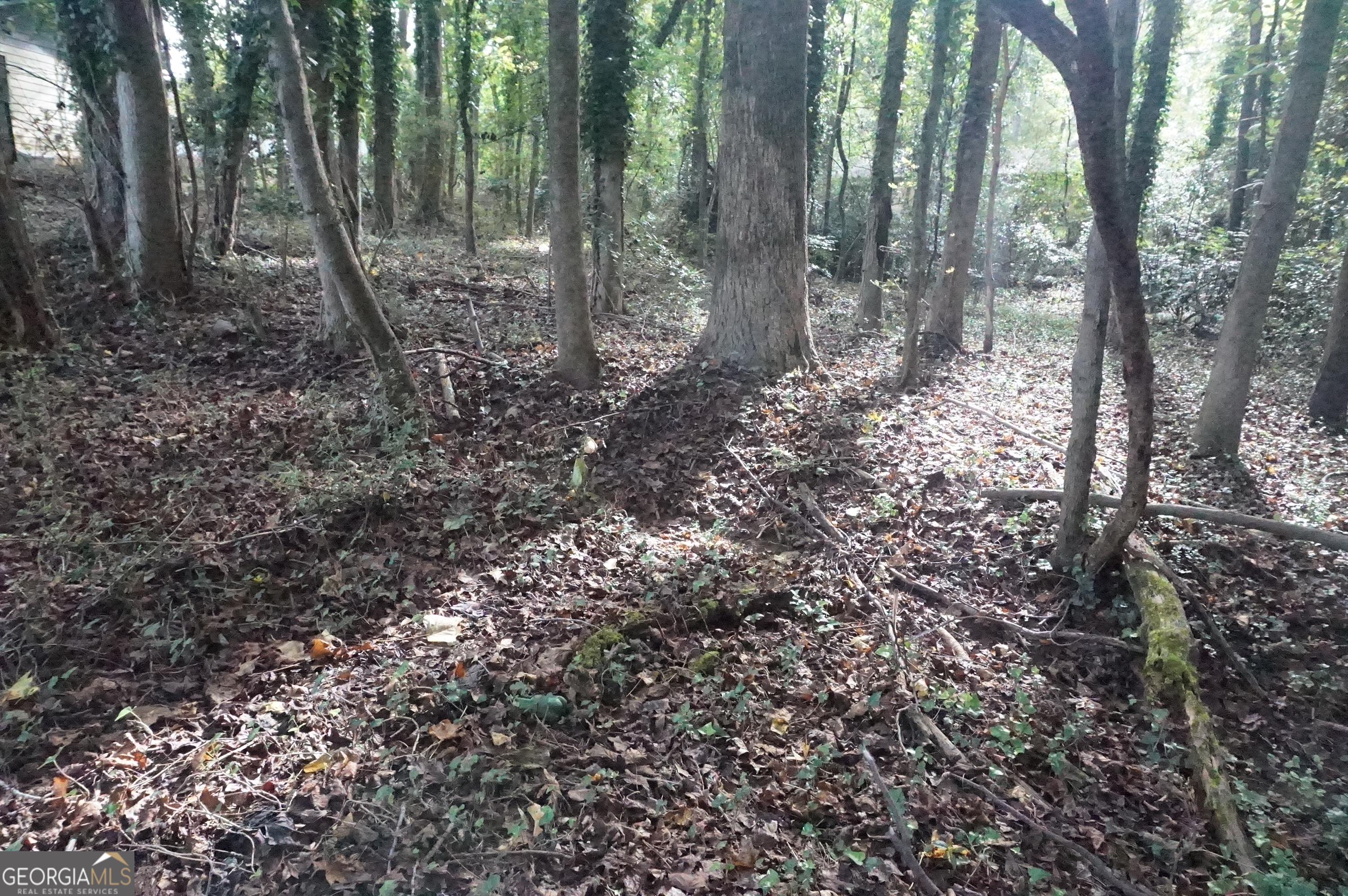 Lot 6 Pine Valley Drive Royston GA 30662