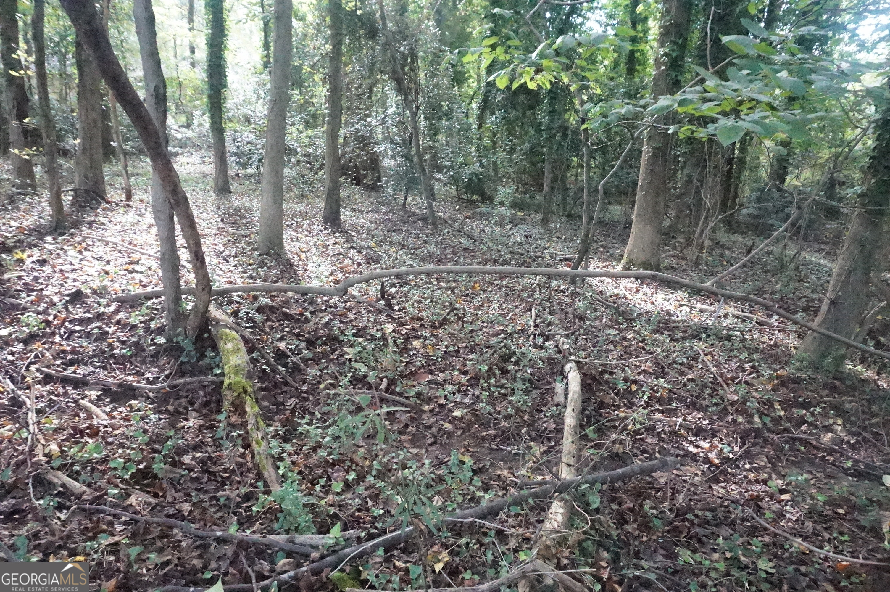 Lot 6 Pine Valley Drive Royston GA 30662