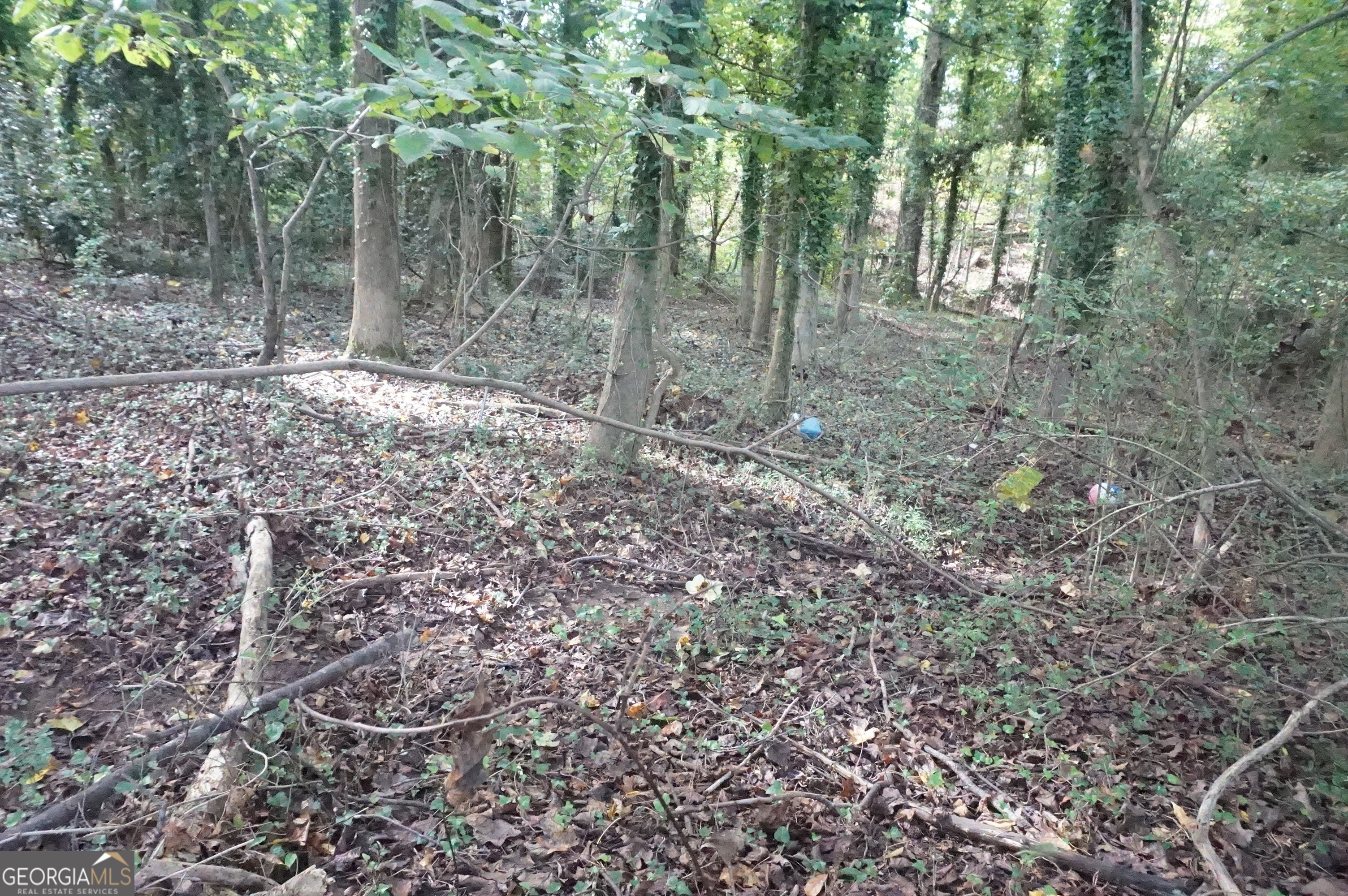 Lot 6 Pine Valley Drive Royston GA 30662