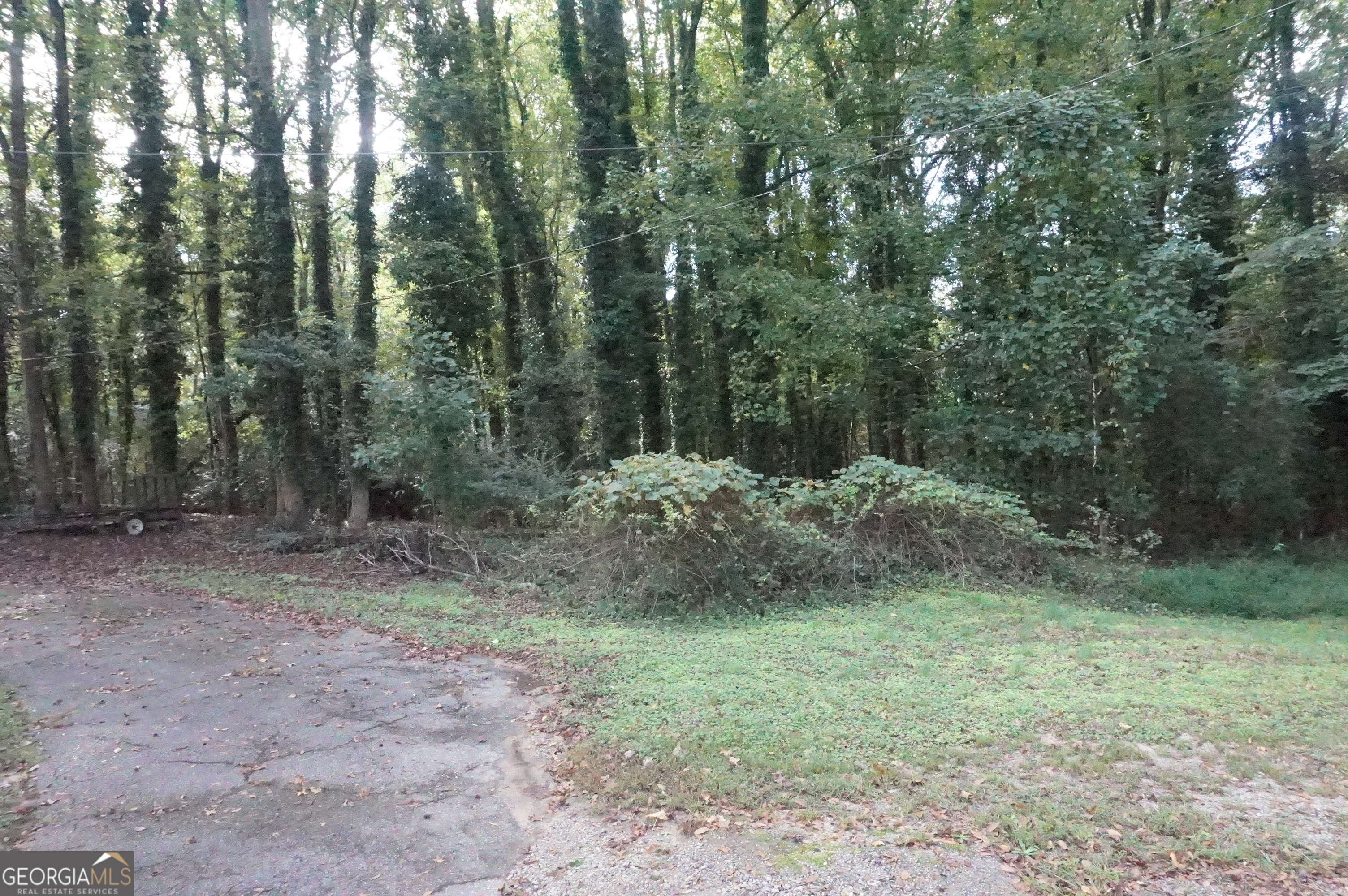 Lot 6 Pine Valley Drive Royston GA 30662