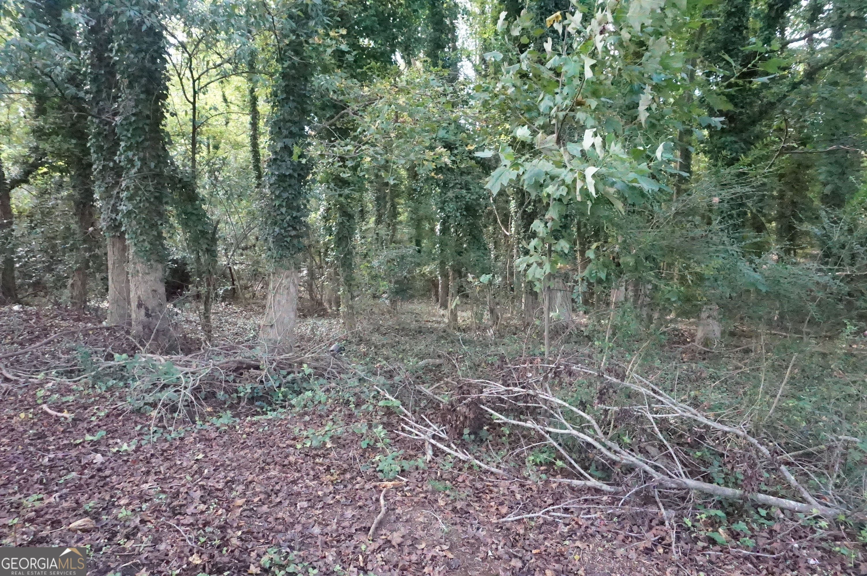 Lot 6 Pine Valley Drive Royston GA 30662