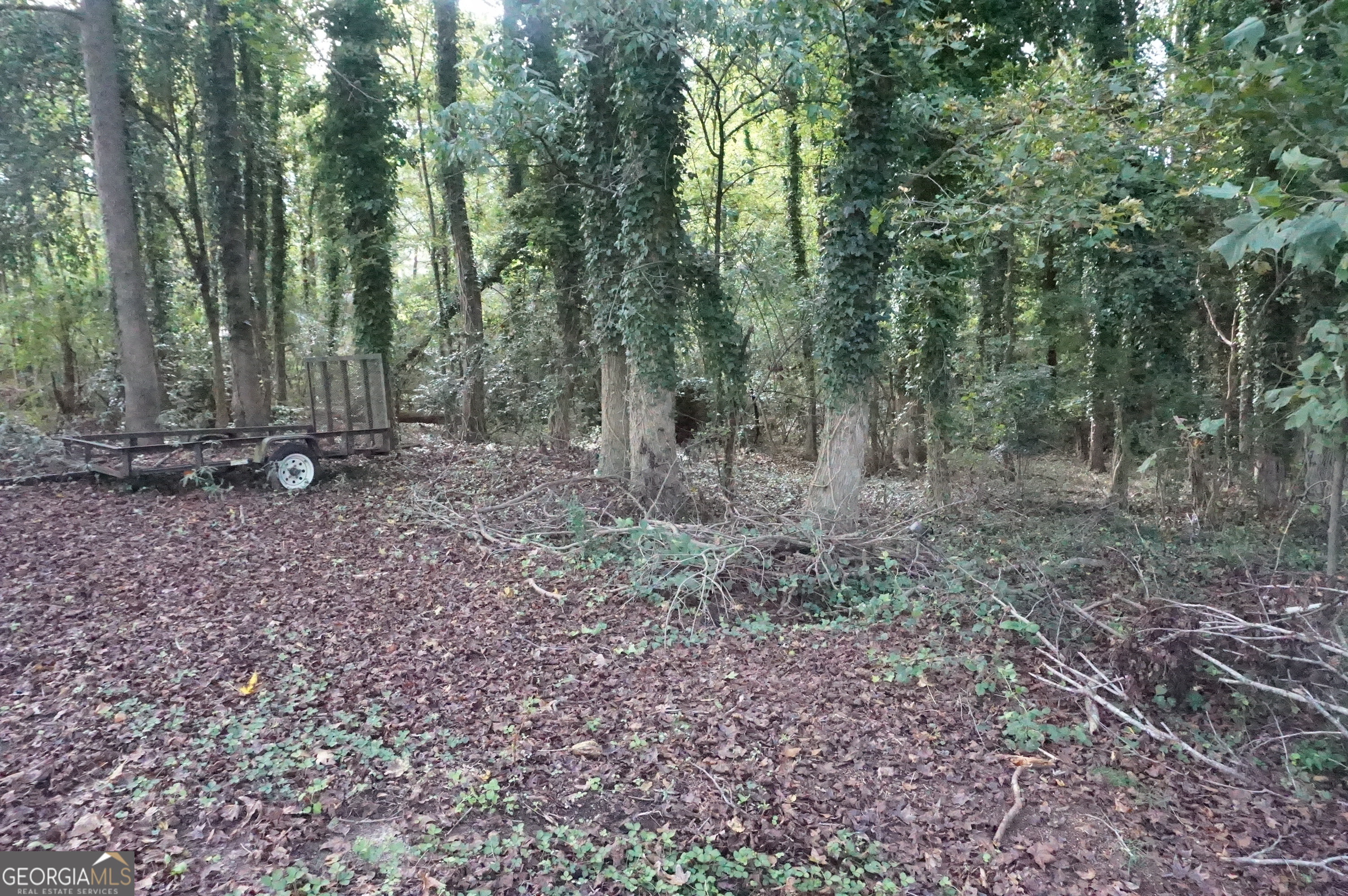 Lot 6 Pine Valley Drive Royston GA 30662