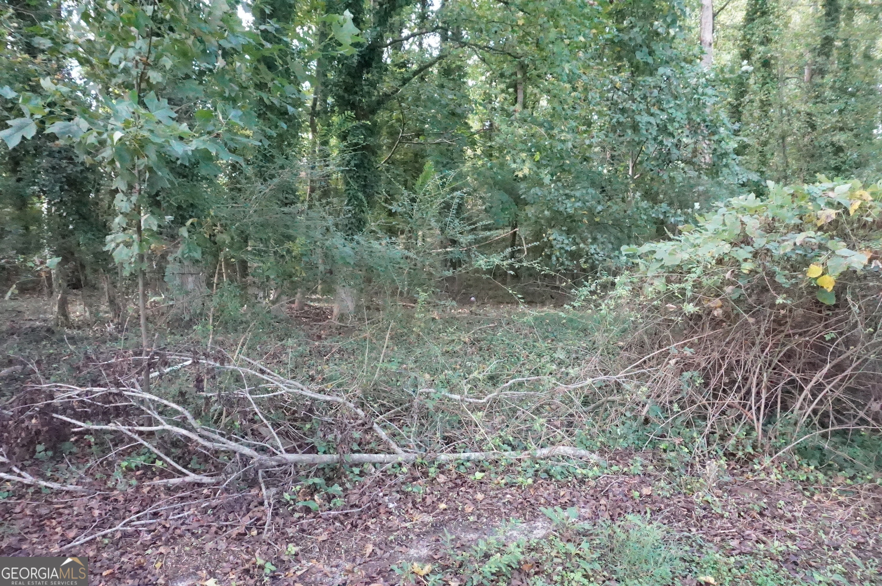 Lot 6 Pine Valley Drive Royston GA 30662