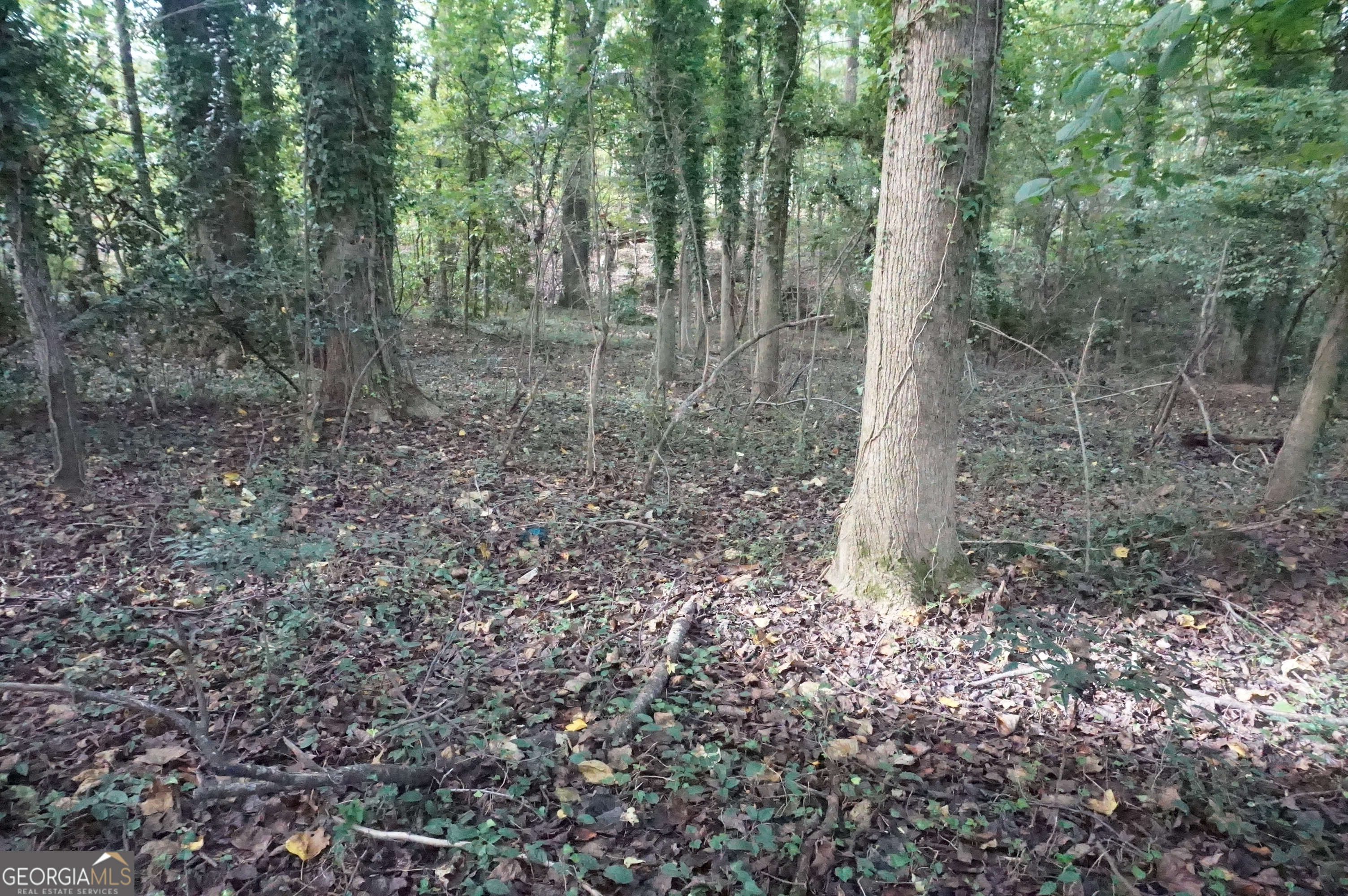 Lot 6 Pine Valley Drive Royston GA 30662