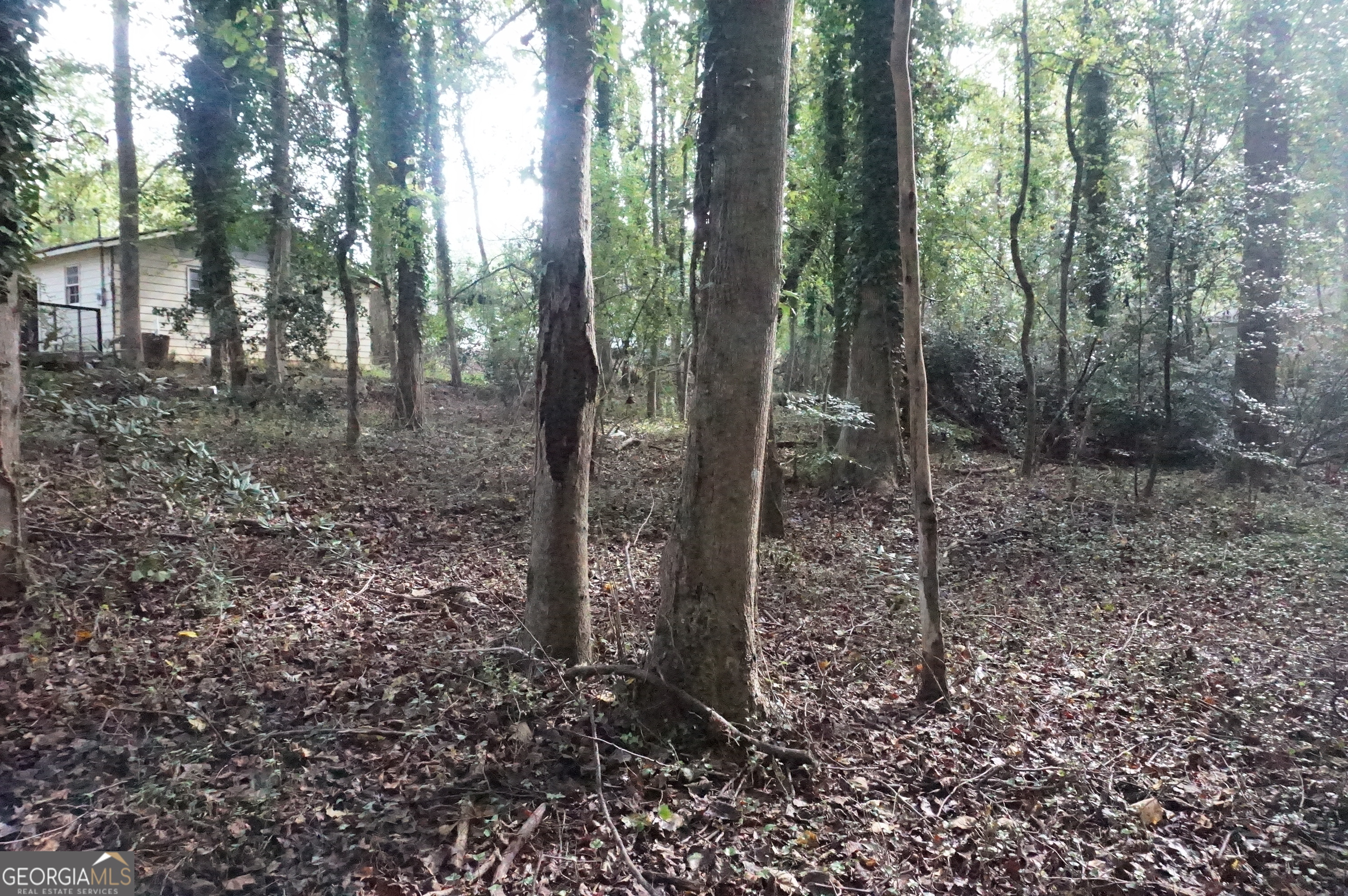 Lot 6 Pine Valley Drive Royston GA 30662