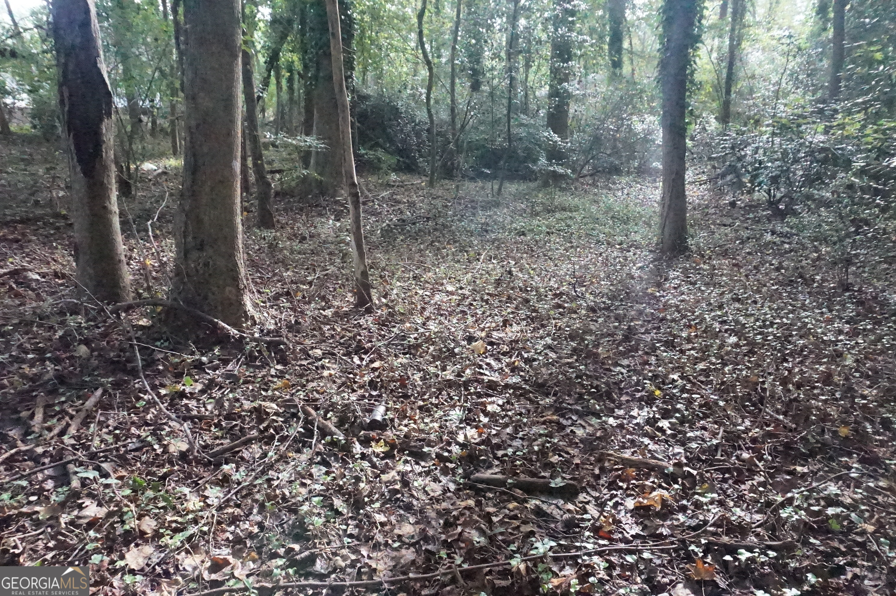 Lot 6 Pine Valley Drive Royston GA 30662