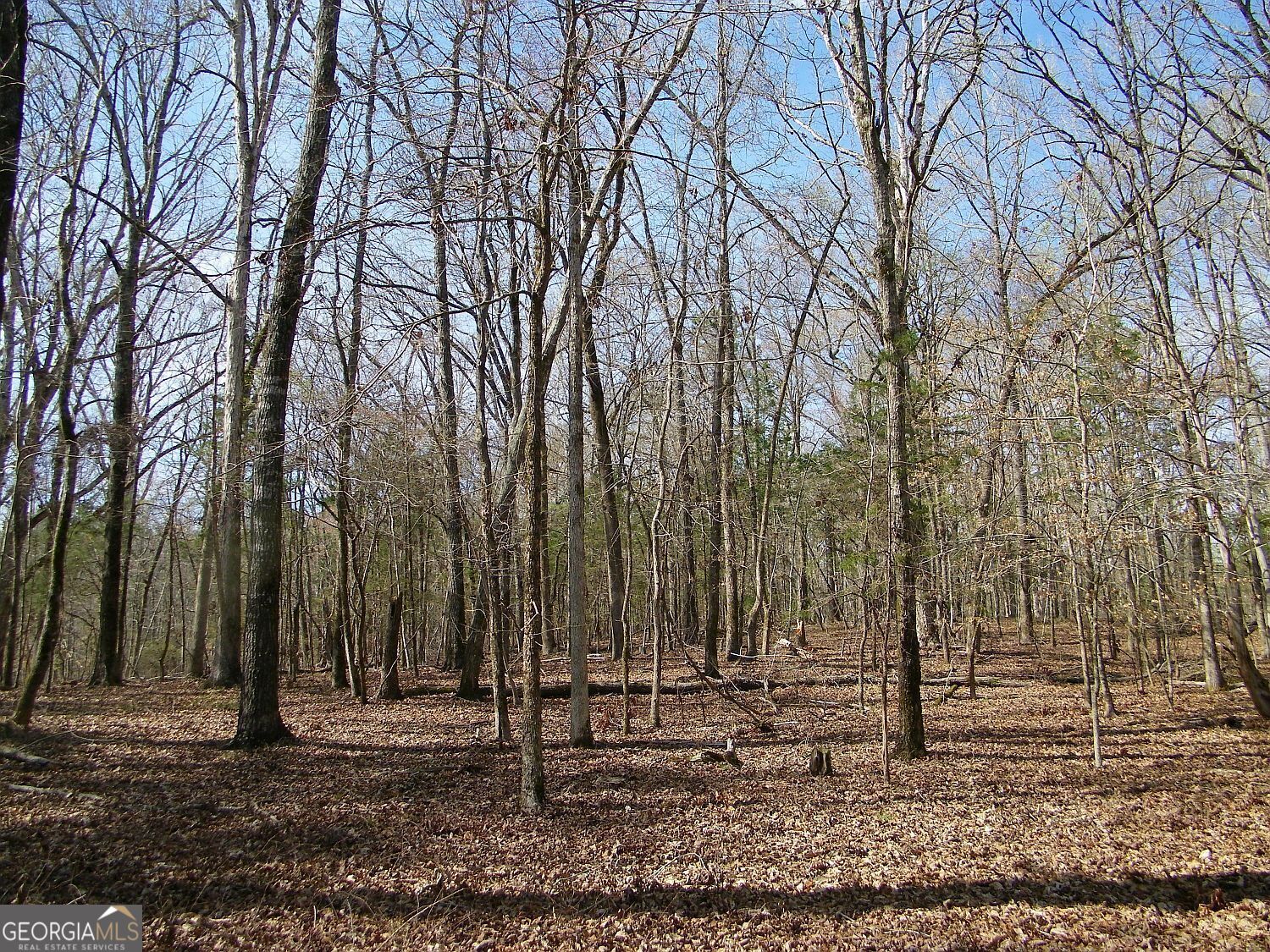 Lot 26 Benjamin Brown Court Elberton GA 30635
