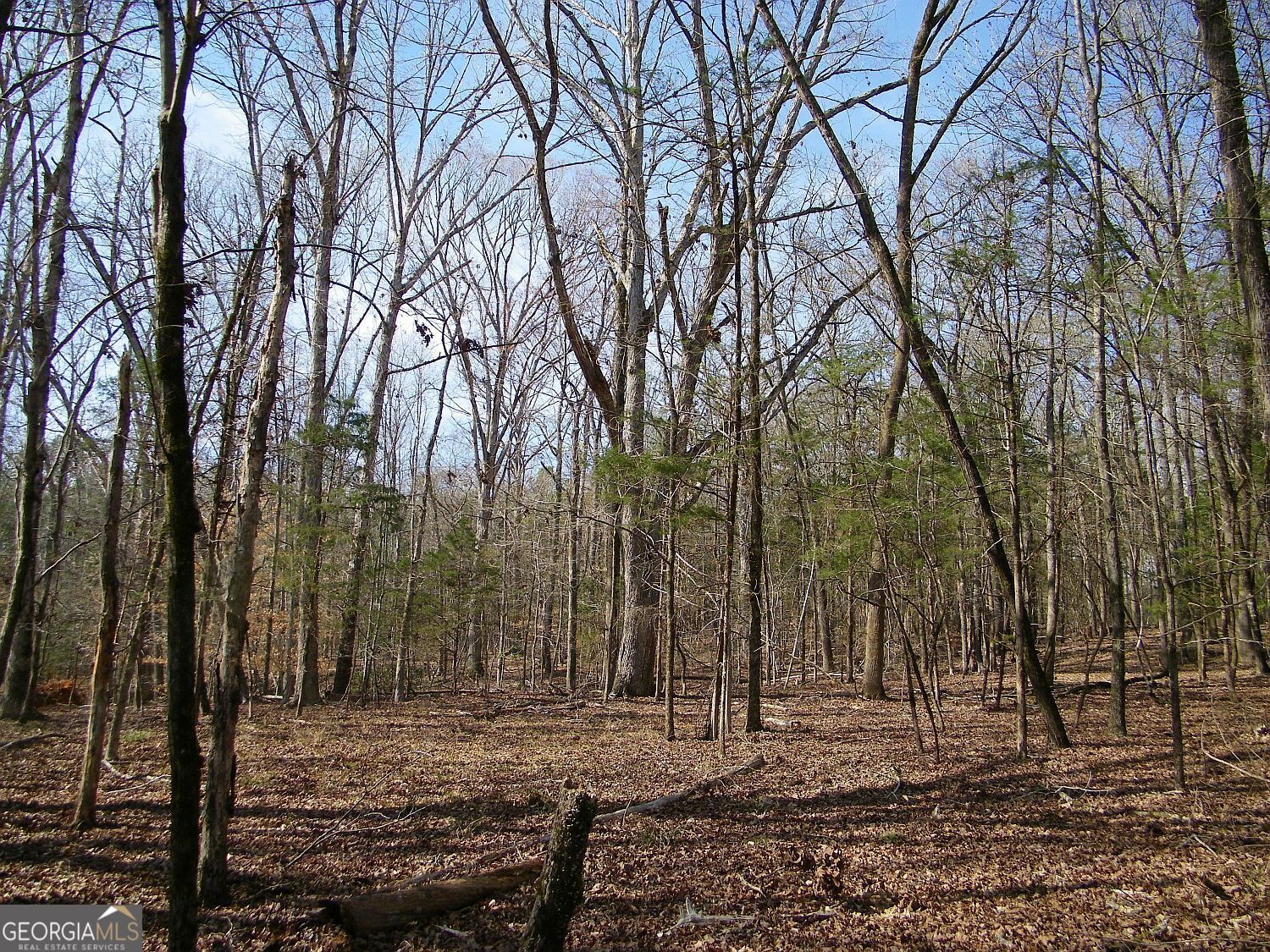 Lot 26 Benjamin Brown Court Elberton GA 30635