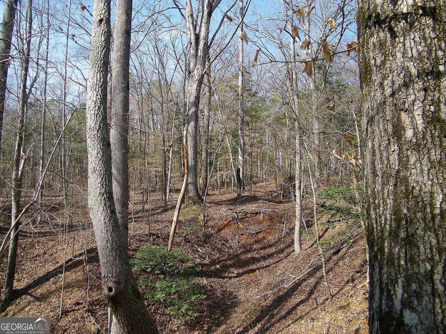 Lot 26 Benjamin Brown Court Elberton GA 30635
