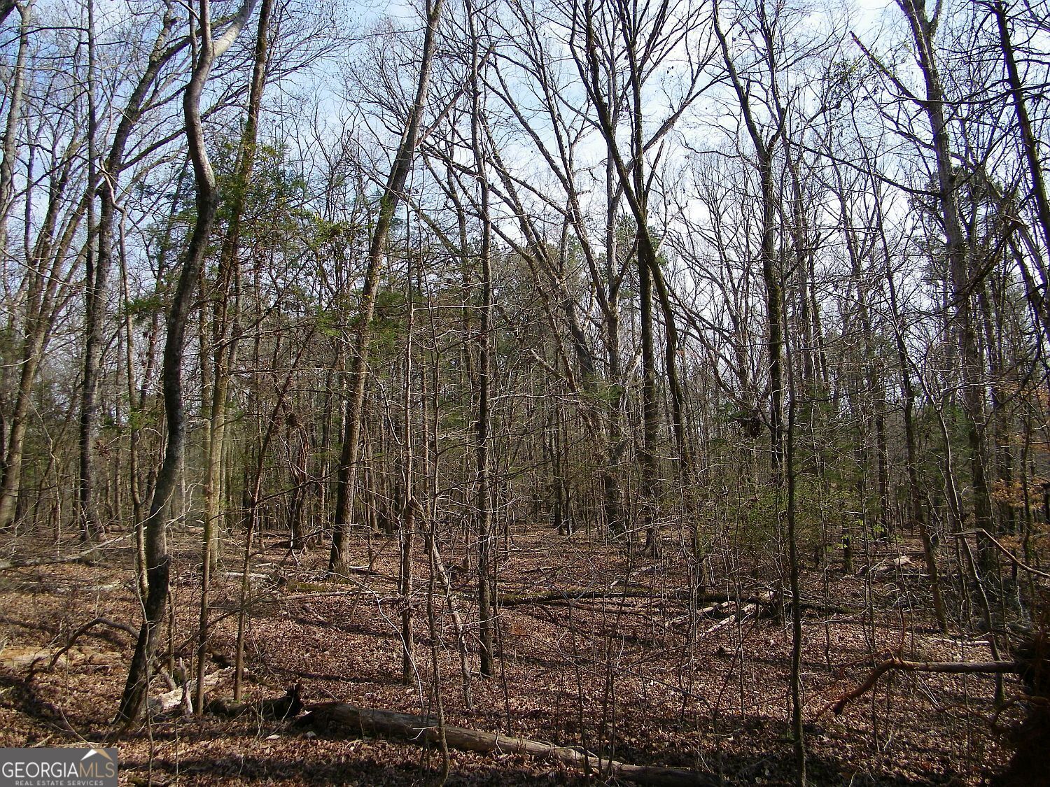 Lot 26 Benjamin Brown Court Elberton GA 30635