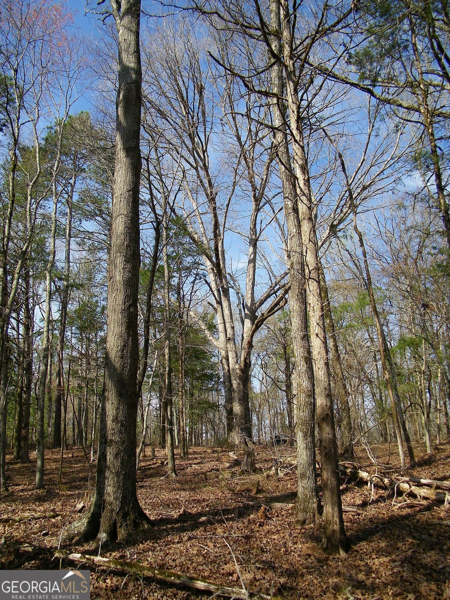 Lot 26 Benjamin Brown Court Elberton GA 30635