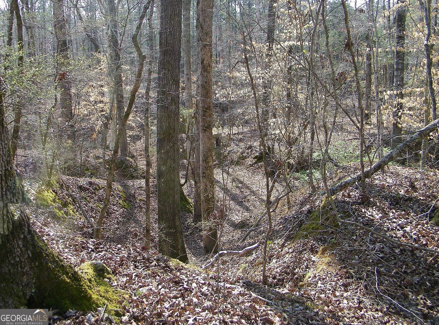 Lot 26 Benjamin Brown Court Elberton GA 30635