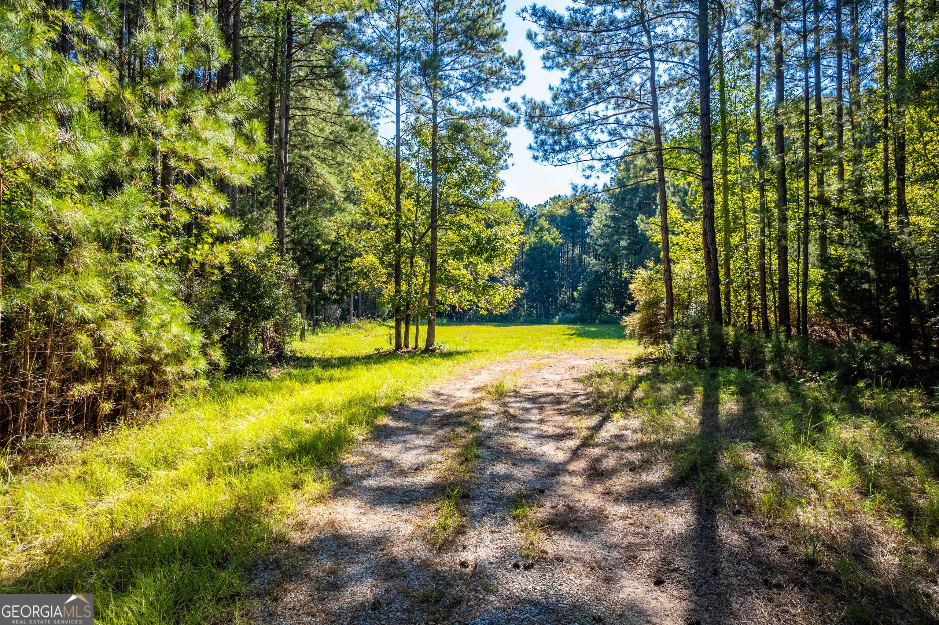 1876 Bobby Brown State Park Road Elberton GA 30635